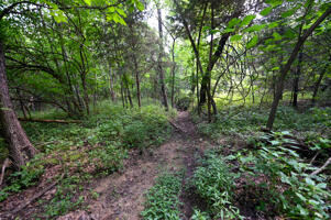1150 Northeast 95th Road Property Photo 27