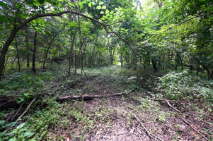 1150 Northeast 95th Road Property Photo 28