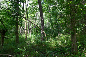 1150 Northeast 95th Road Property Photo 30