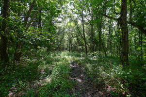 1150 Northeast 95th Road Property Photo 33