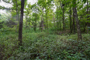 1150 Northeast 95th Road Property Photo 34