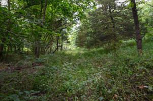 1150 Northeast 95th Road Property Photo 35