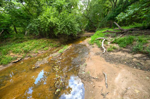1150 Northeast 95th Road Property Photo 41