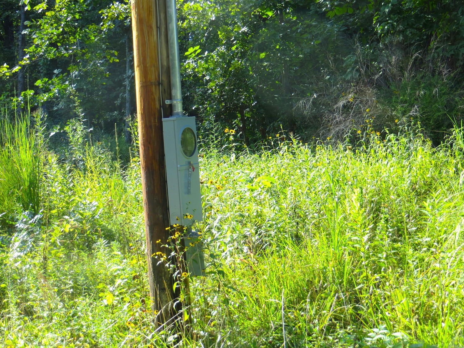 Tbd County Road 206 Property Photo 3