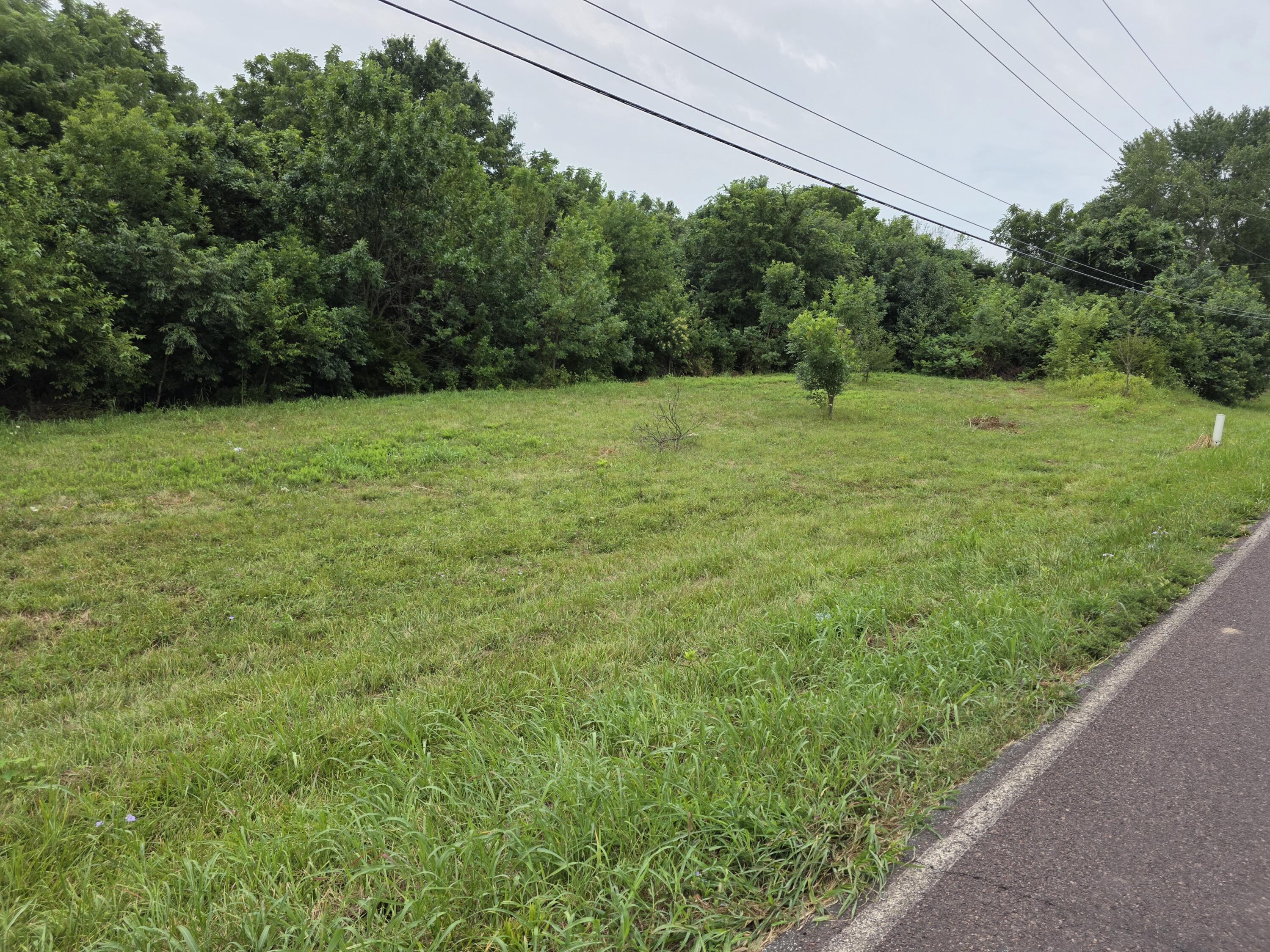Lot 91 North Eisenhower Street Property Photo 1