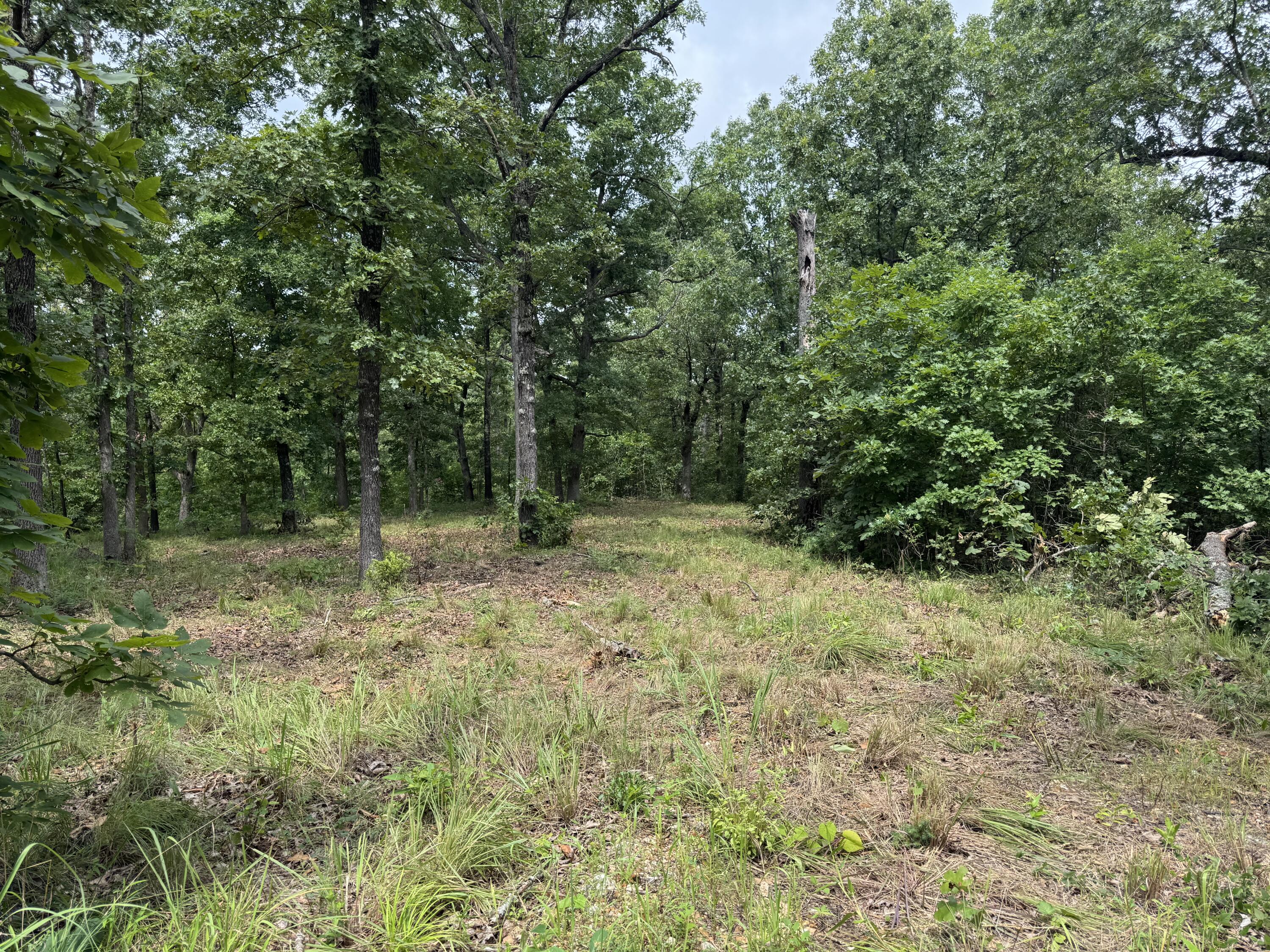 00 Post Oak Property Photo 3