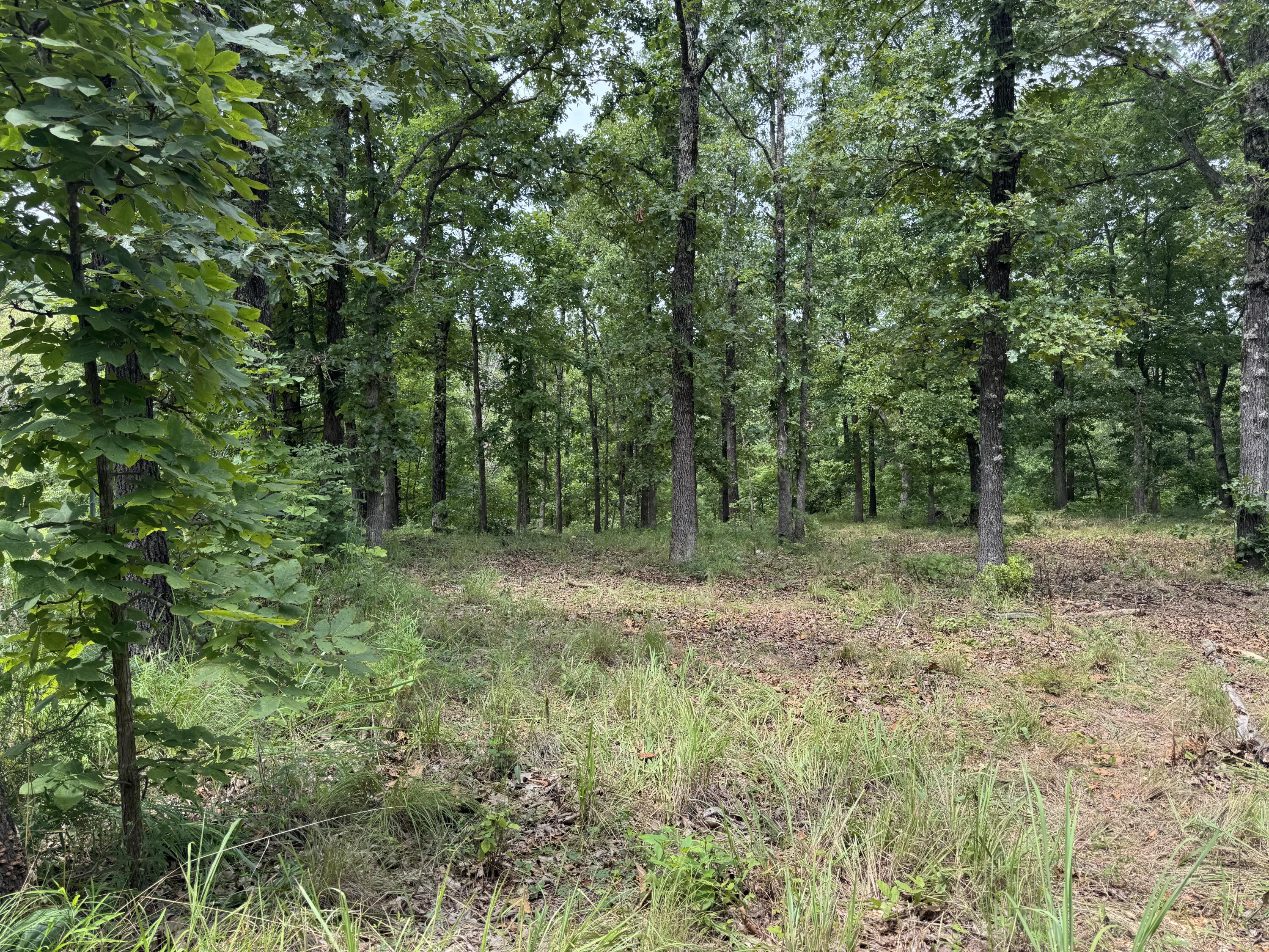 00 Post Oak Property Photo 4