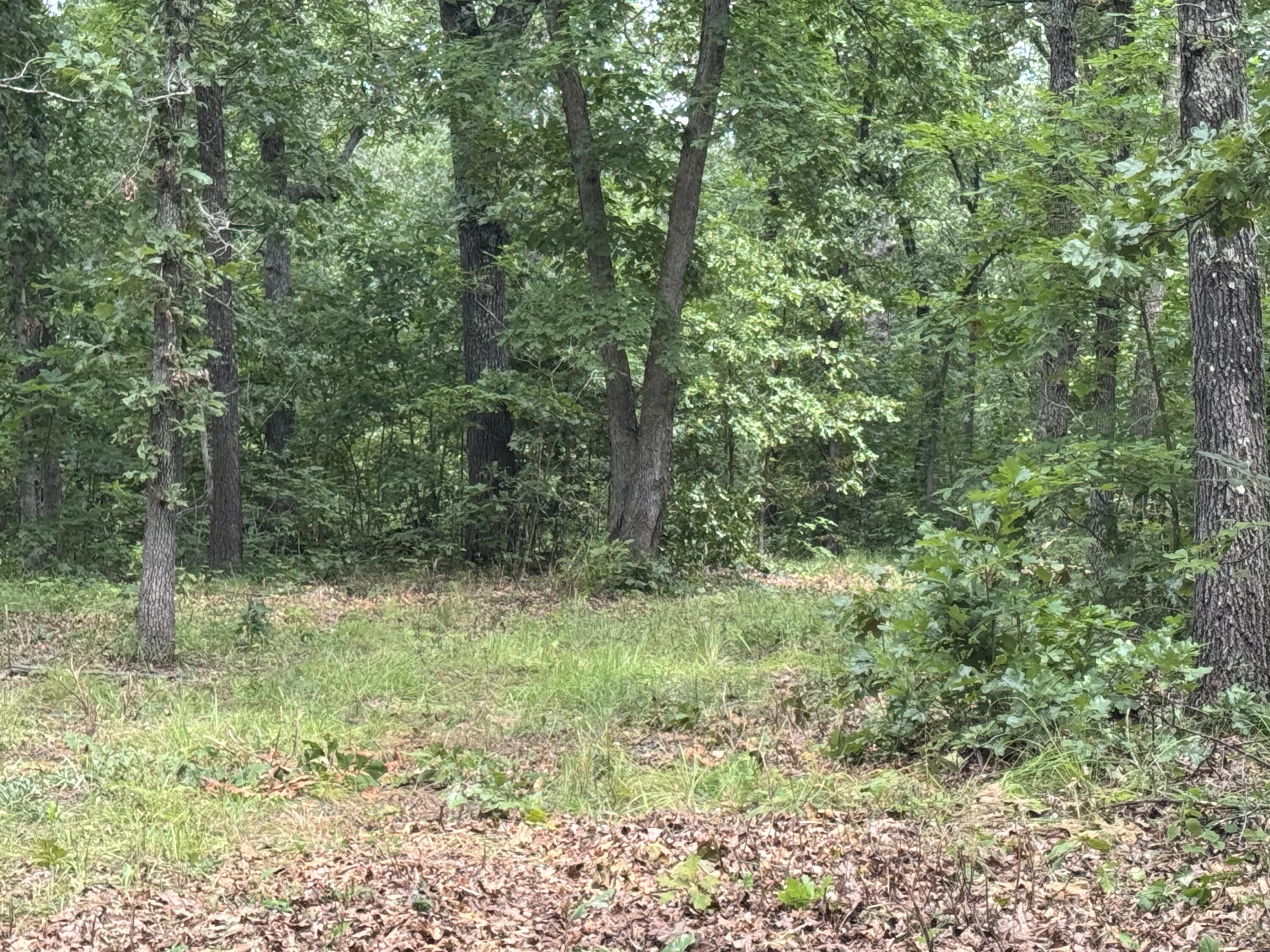 00 Post Oak Property Photo 6