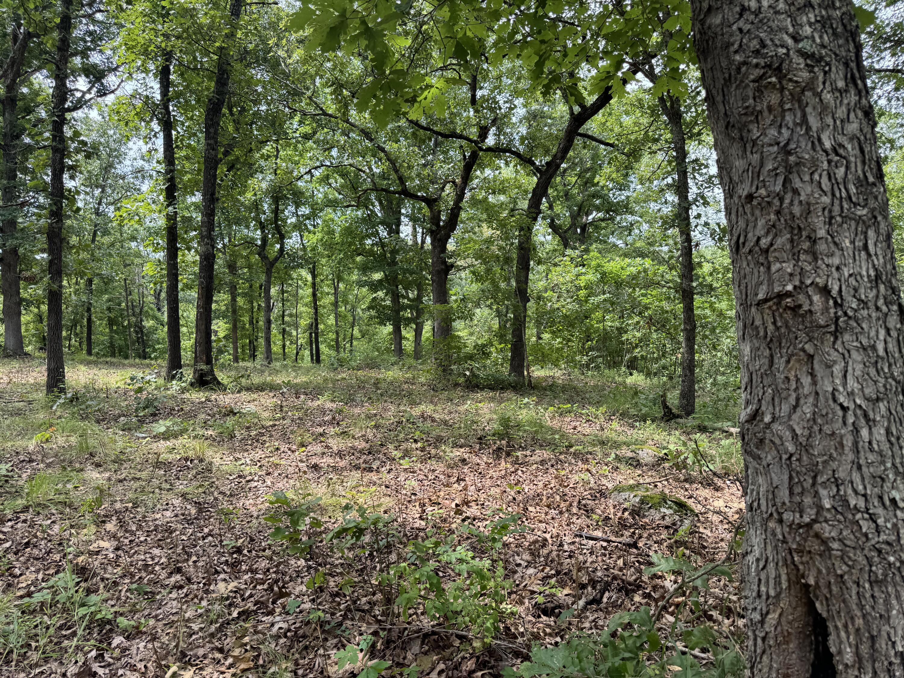 00 Post Oak Property Photo 10