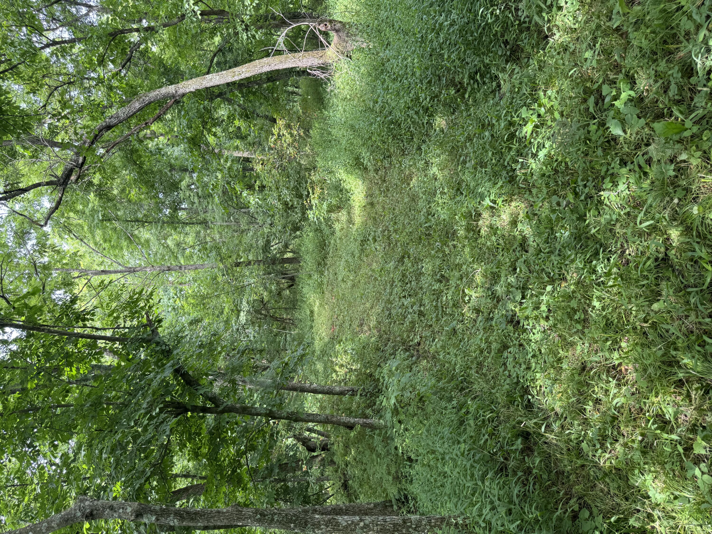 00 Post Oak Property Photo 11