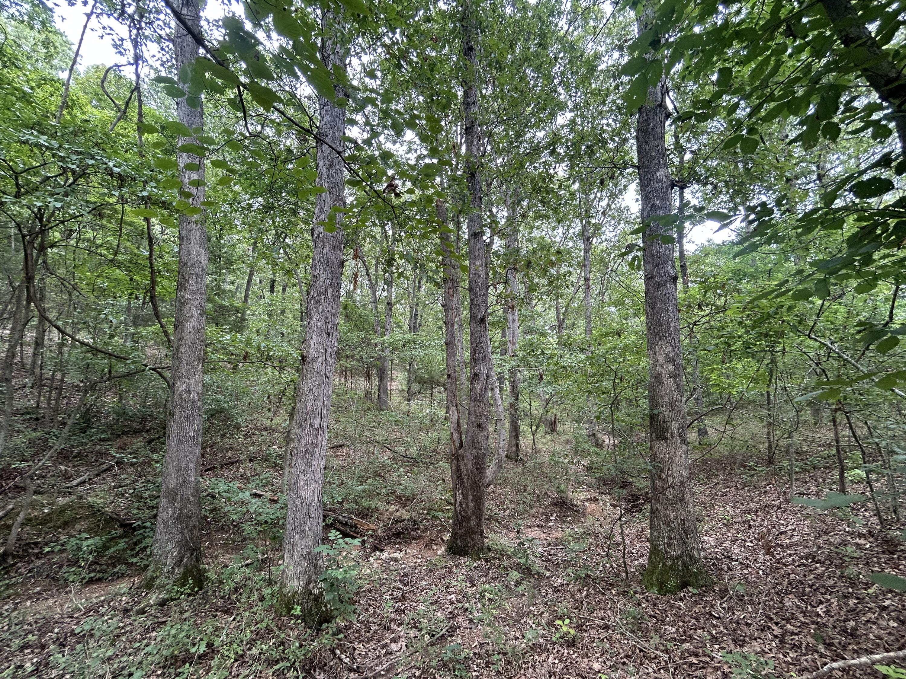 000 East Highway 14 Private Drive Property Photo 13