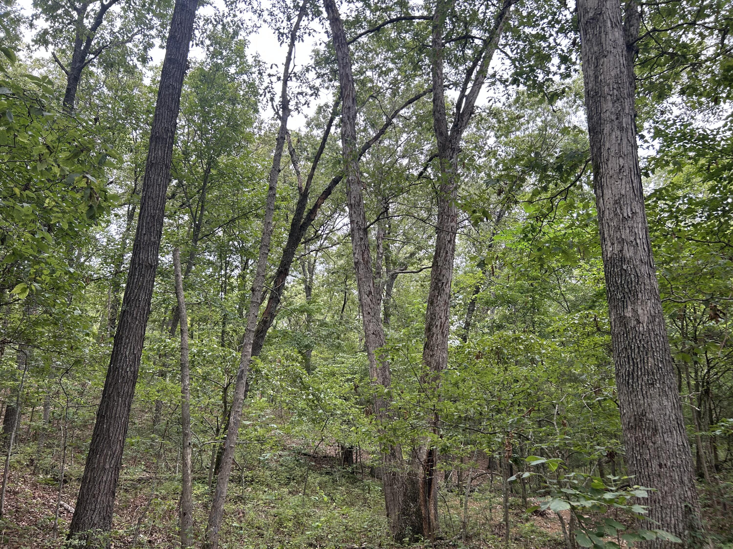 000 East Highway 14 Private Drive Property Photo 14
