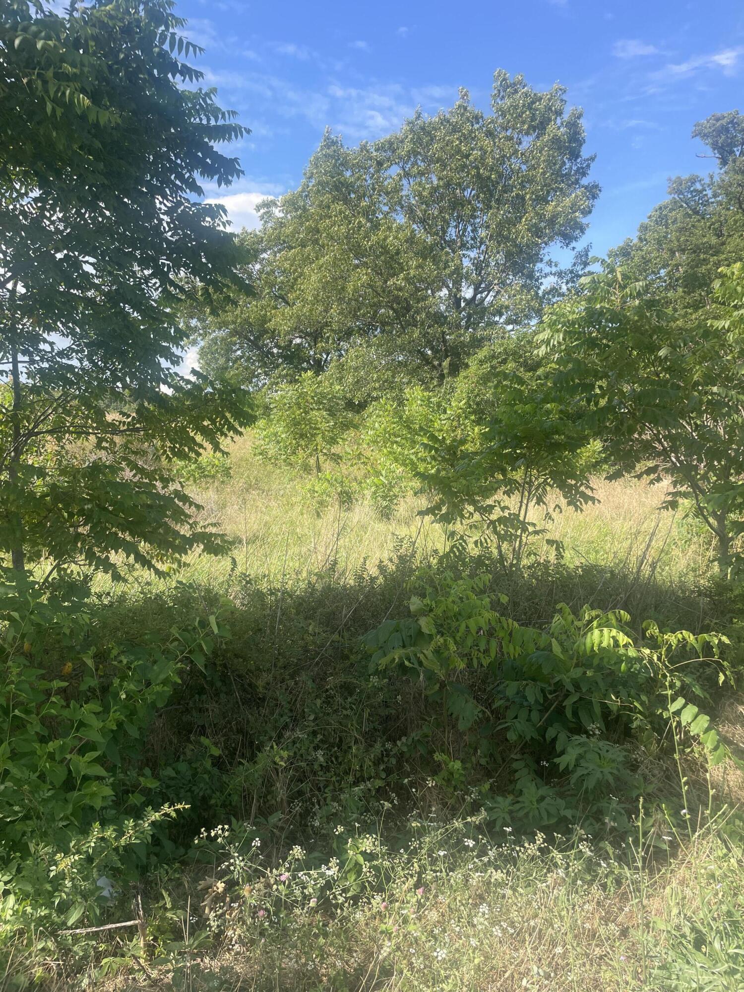 00 Farm Road 2015 Property Photo 3