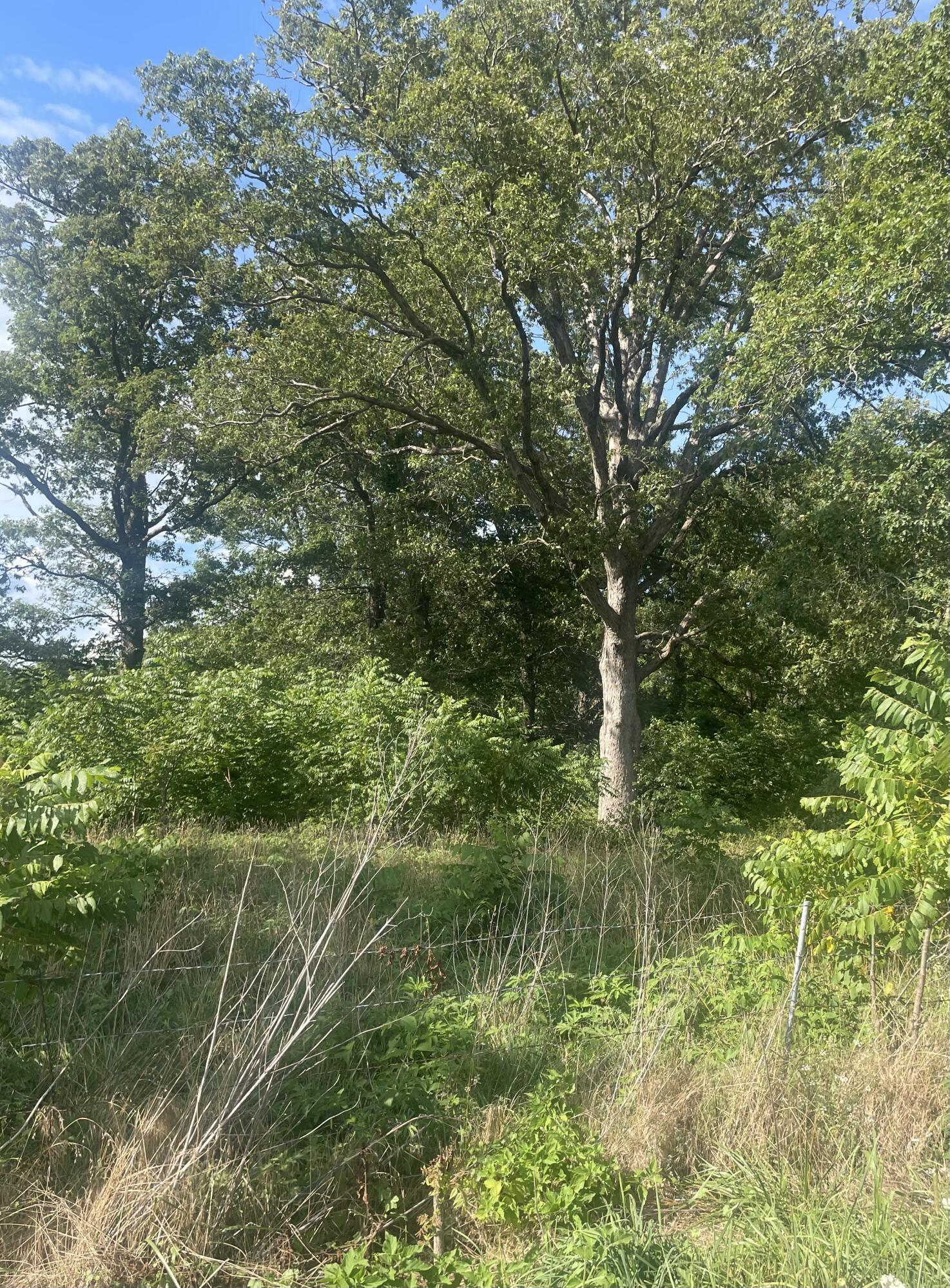 00 Farm Road 2015 Property Photo 5