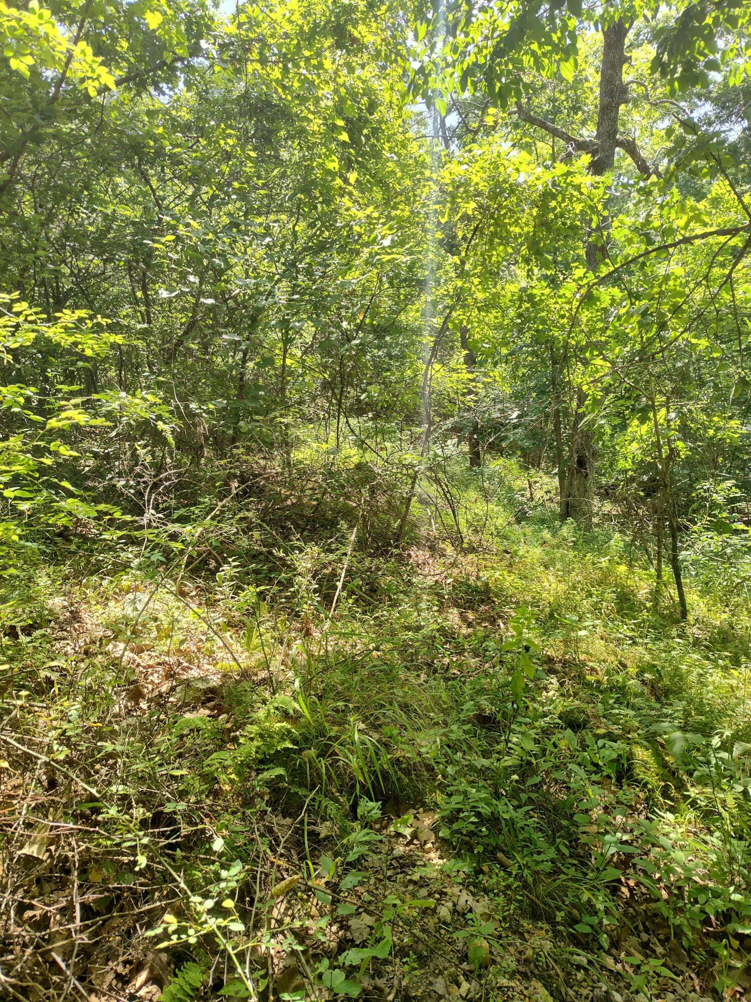 17 Timber Circle Property Photo 4