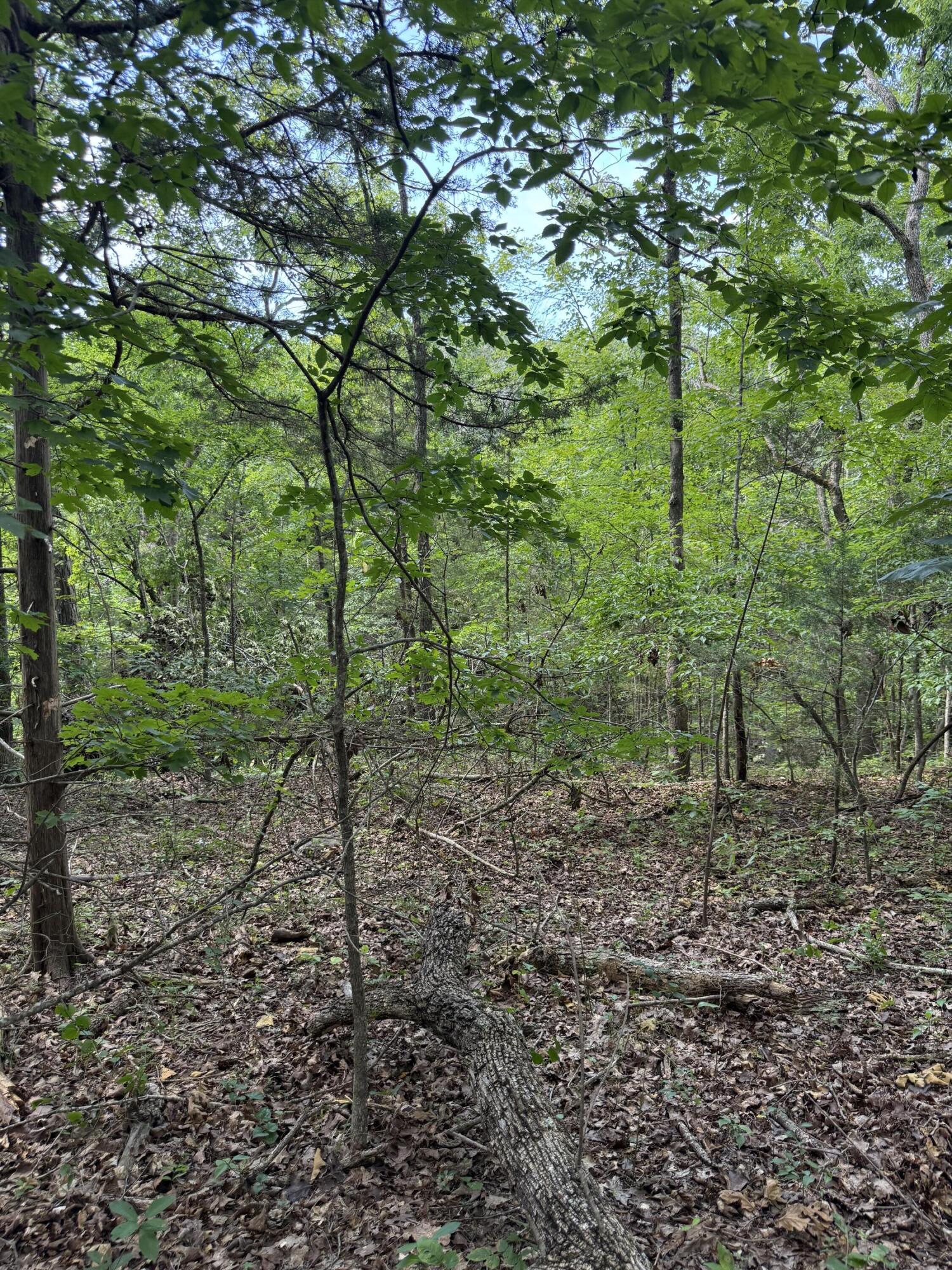 000 Double O Nine Road Property Photo 16