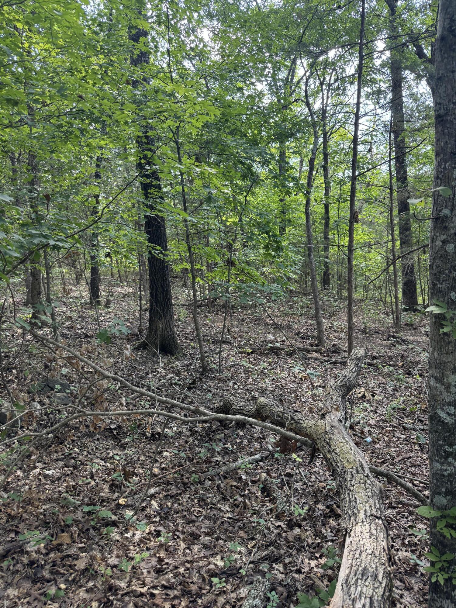 000 Double O Nine Road Property Photo 17