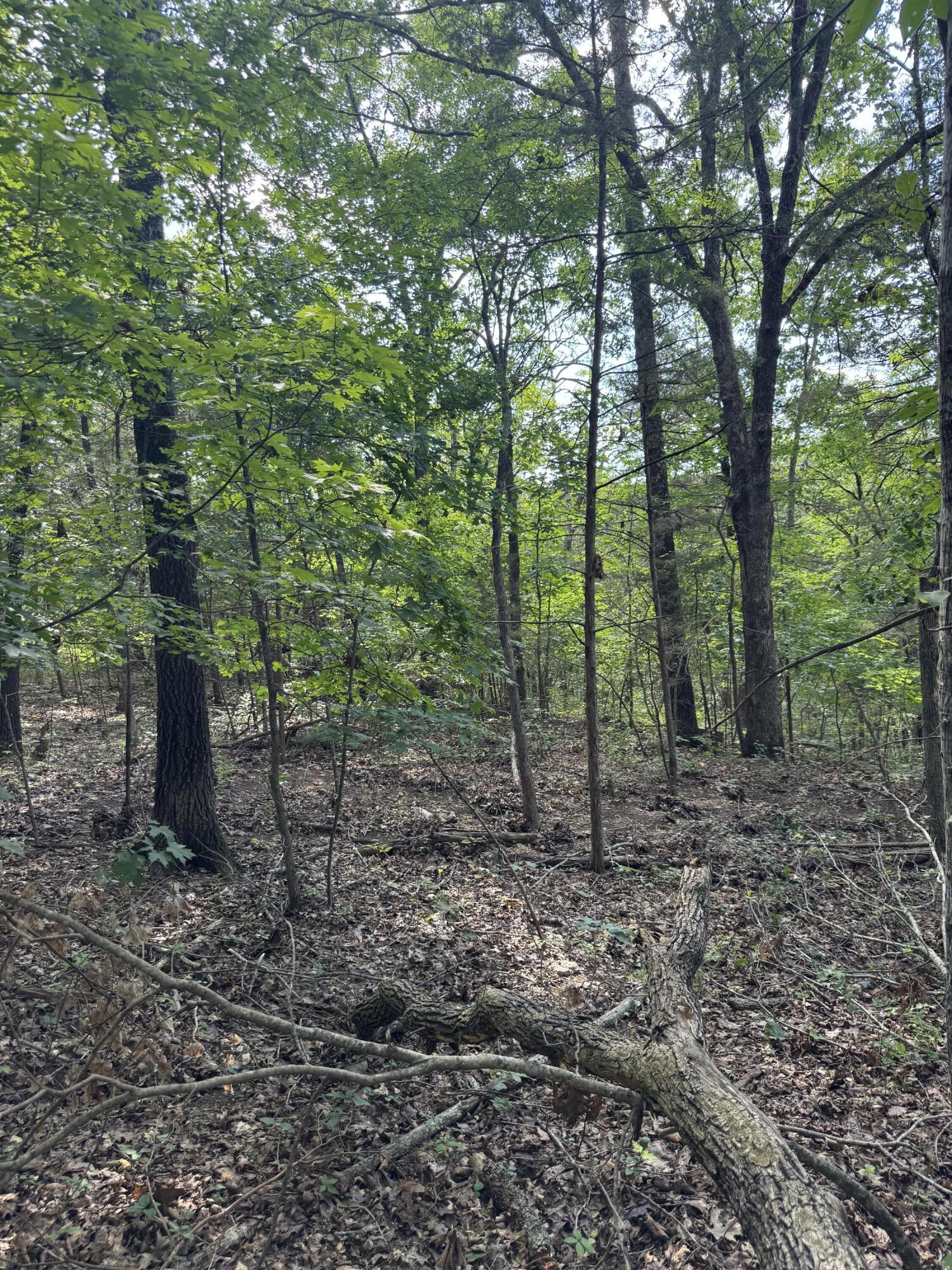 000 Double O Nine Road Property Photo 18