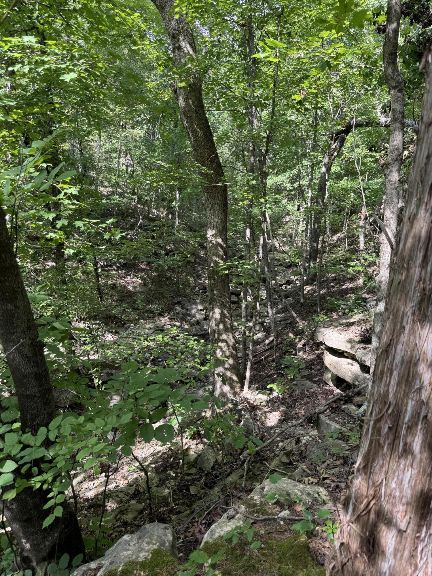 000 Double O Nine Road Property Photo 20