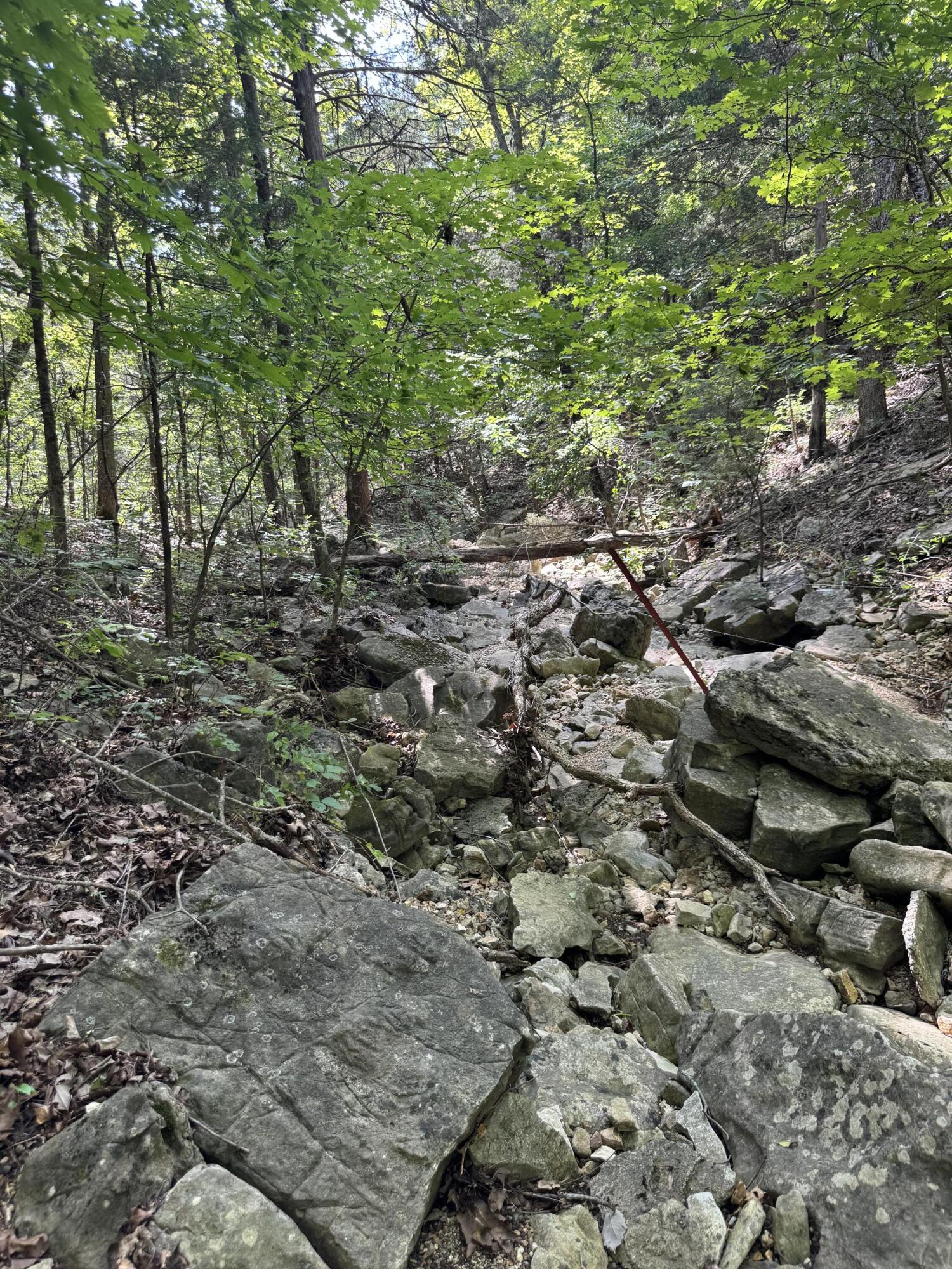 000 Double O Nine Road Property Photo 22