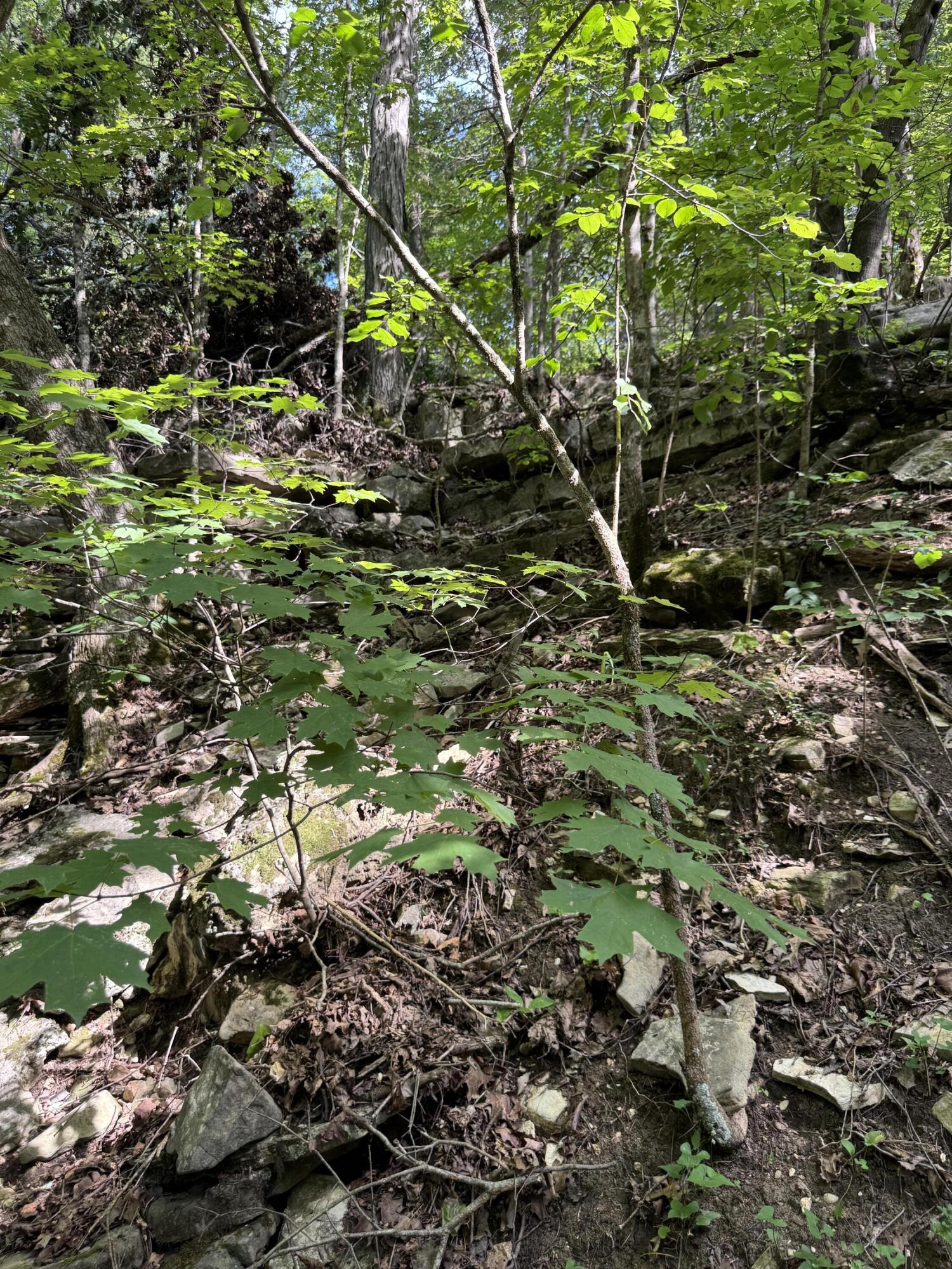 000 Double O Nine Road Property Photo 24