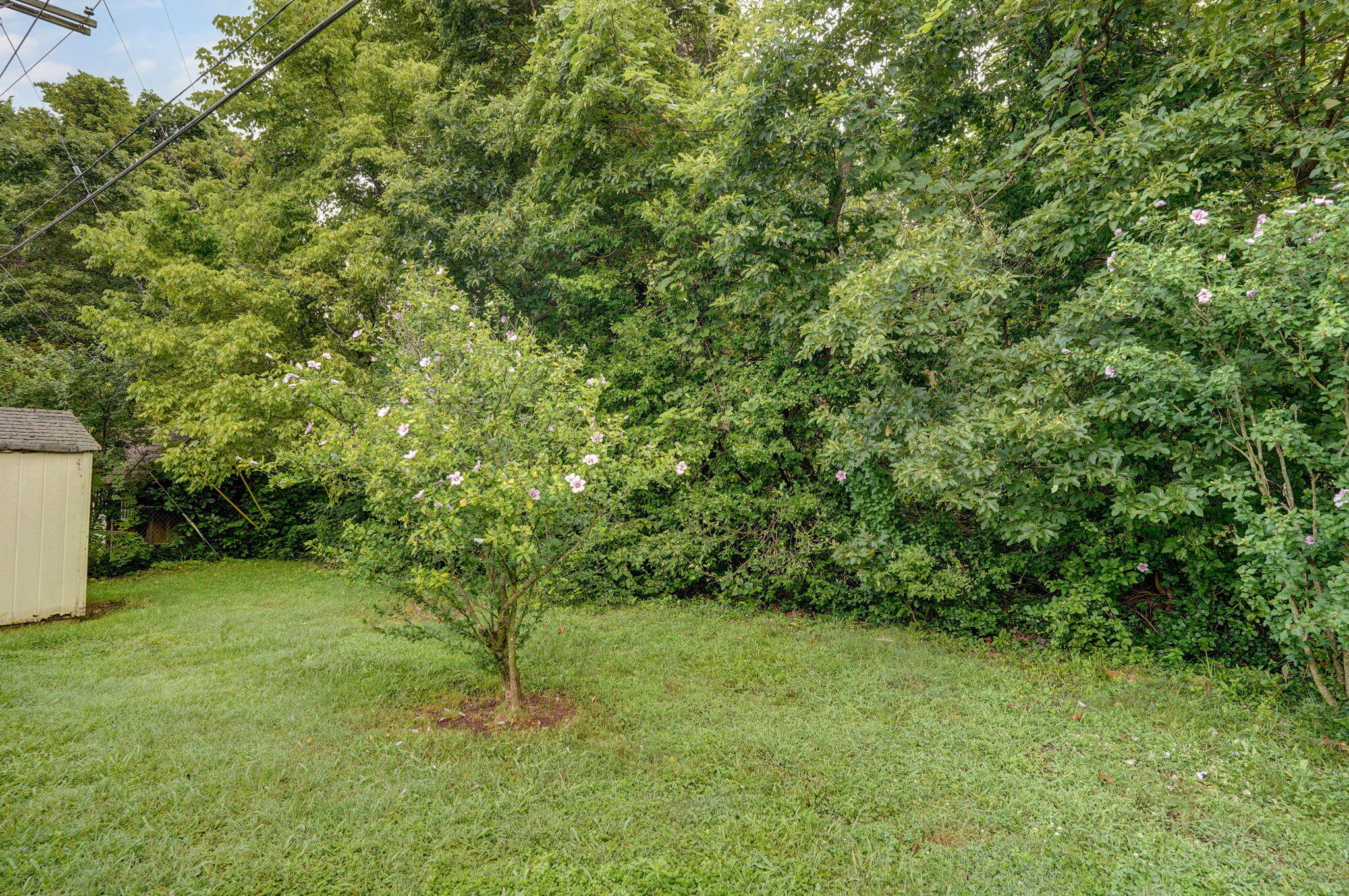 956 South Greentree Avenue Property Photo 40