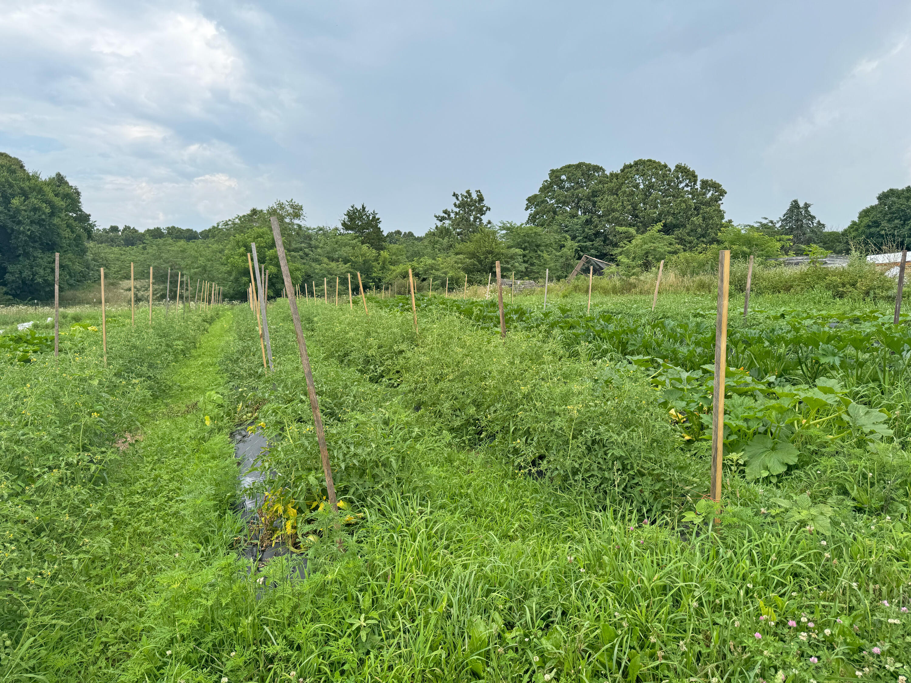 16653 Johnson Br Road Property Photo 8