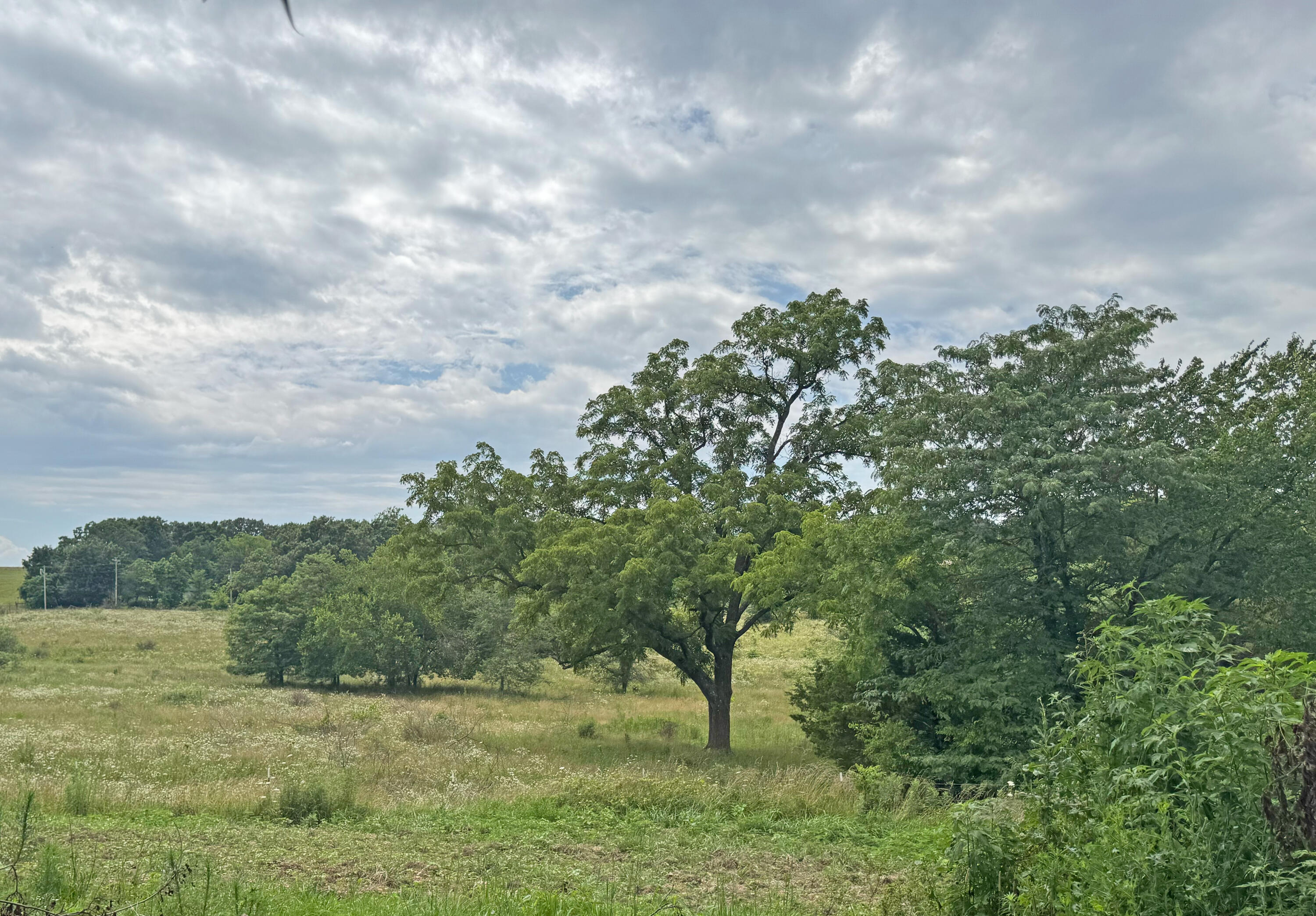 16653 Johnson Br Road Property Photo 9