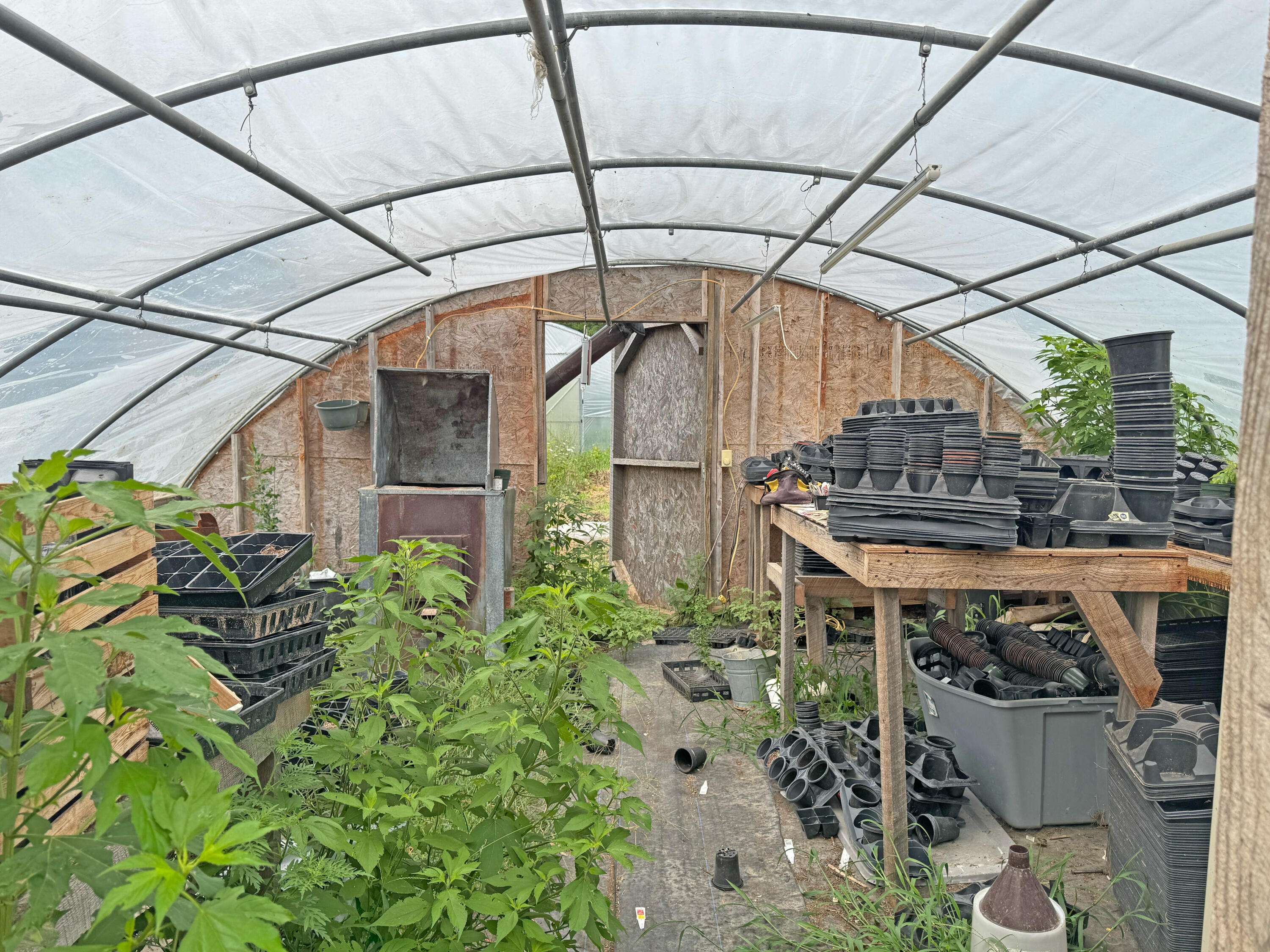 16653 Johnson Br Road Property Photo 12