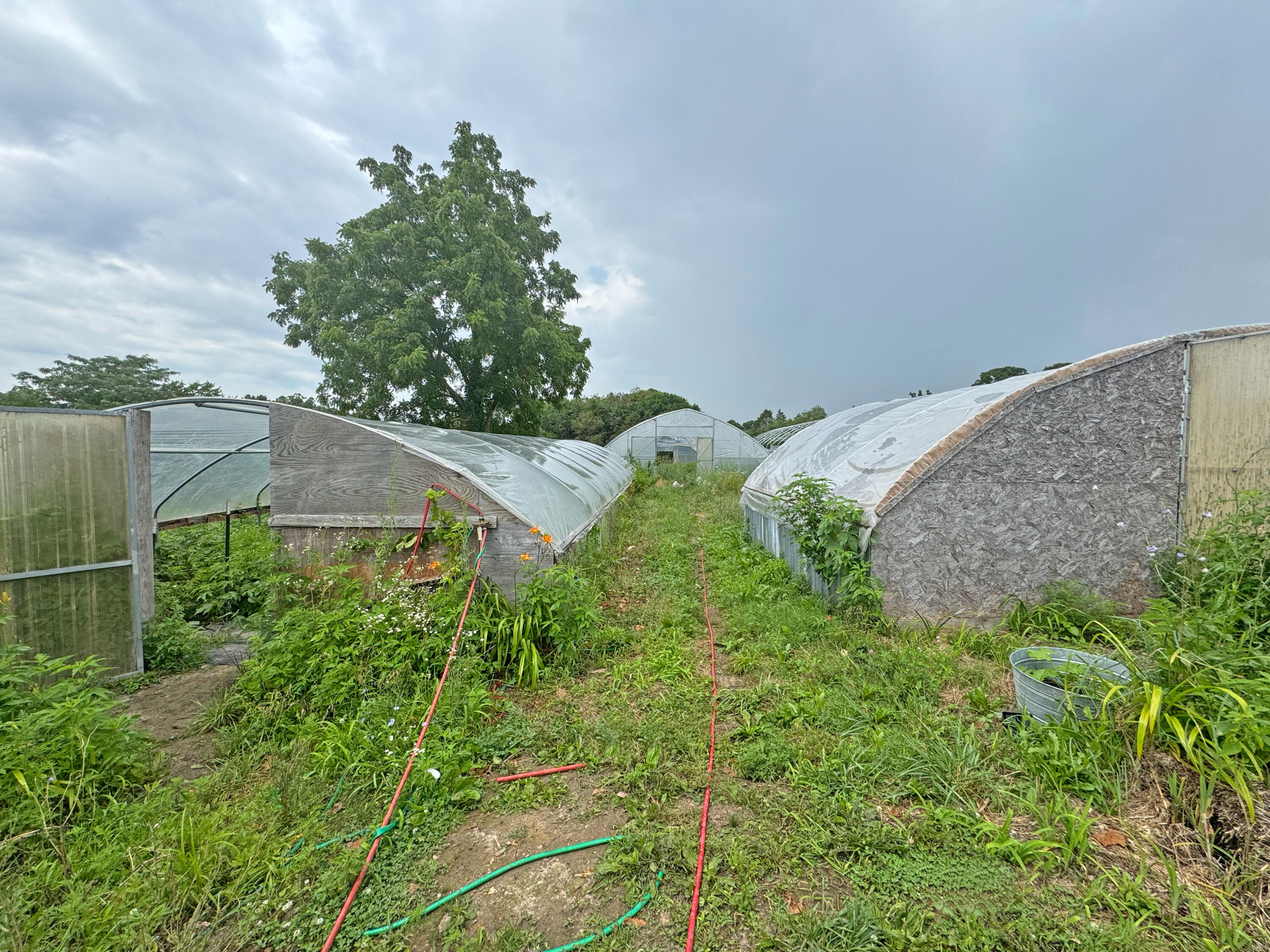16653 Johnson Br Road Property Photo 15