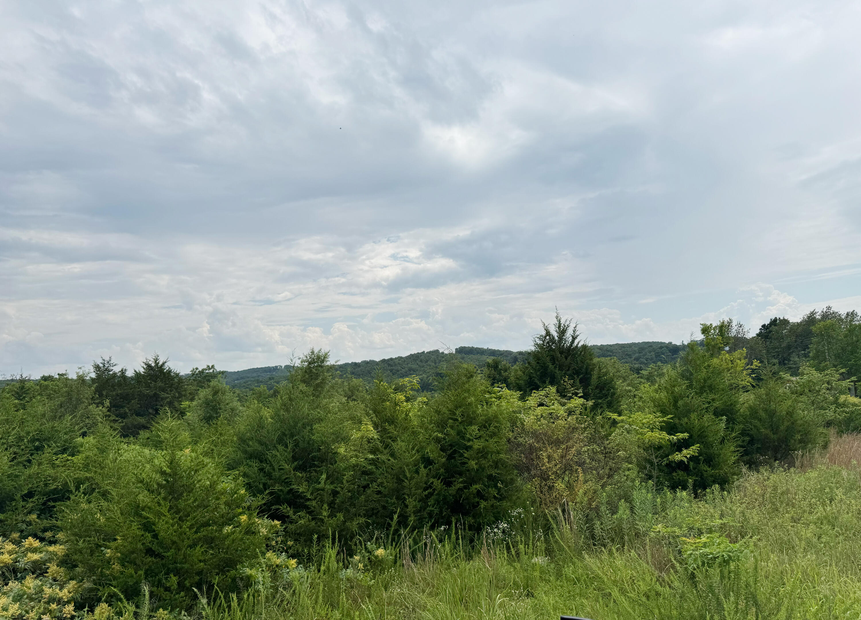17320 Solo Rd Road Property Photo 3