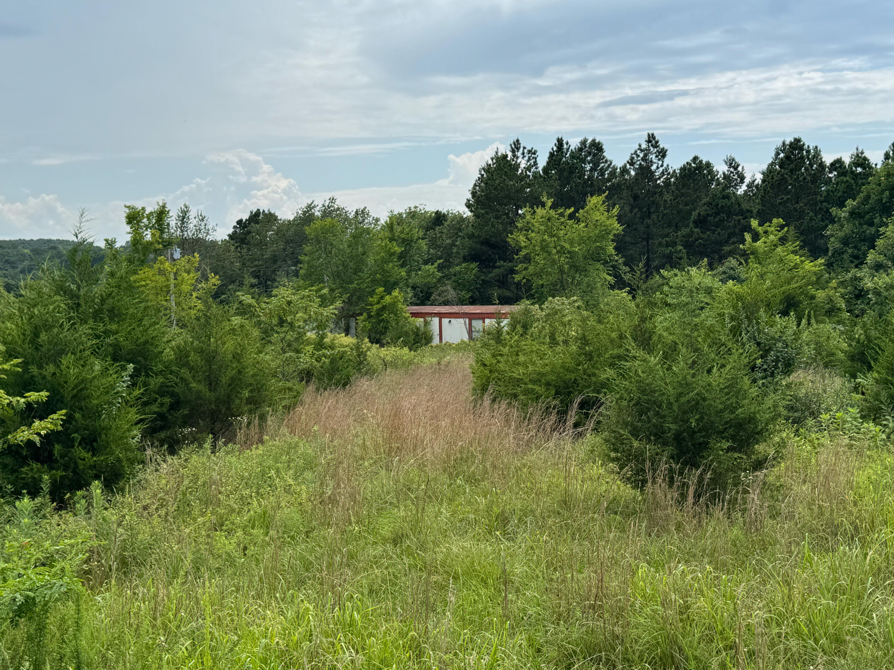 17320 Solo Rd Road Property Photo 4
