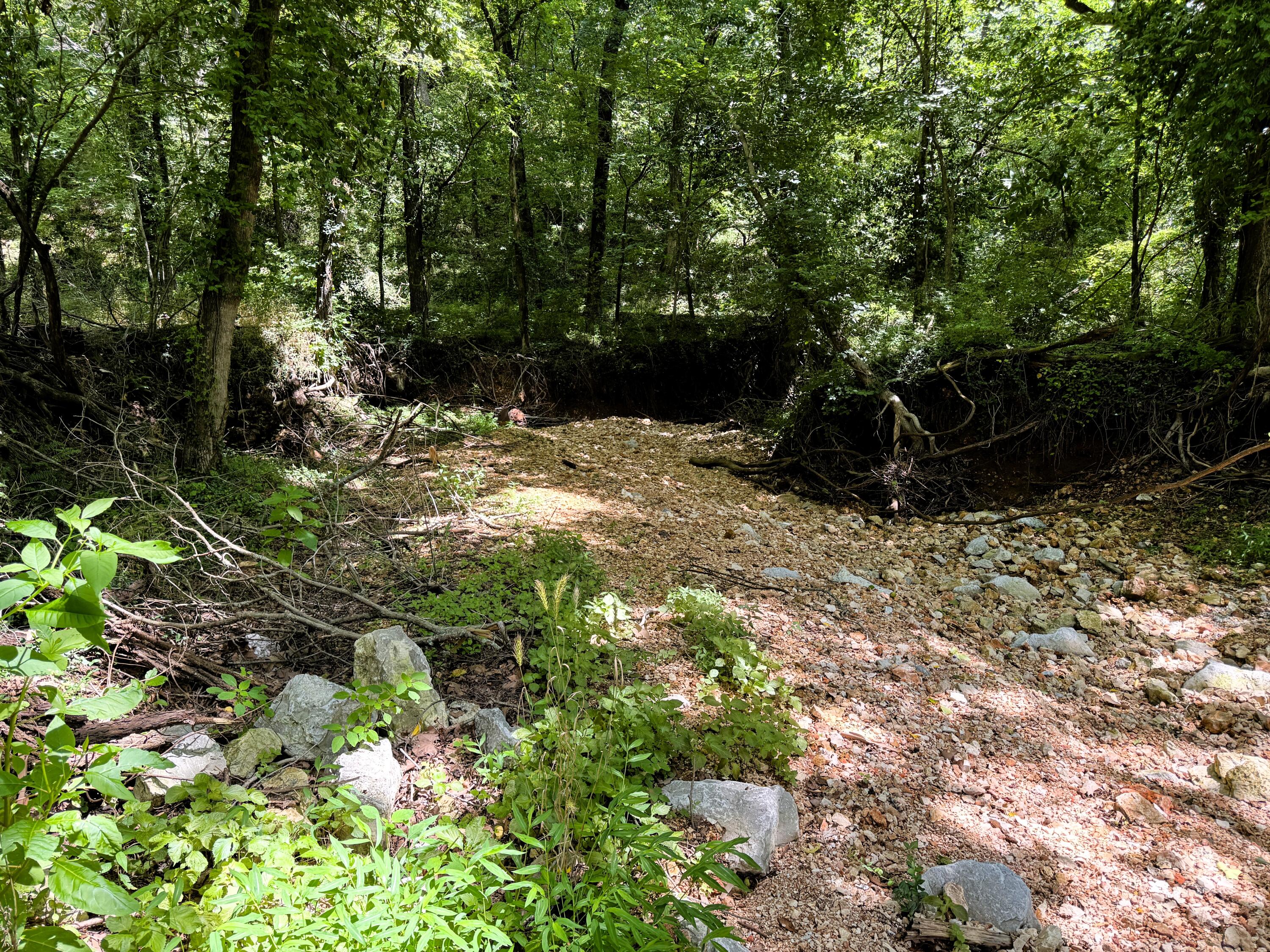 000 Wilderness Way Property Photo 3