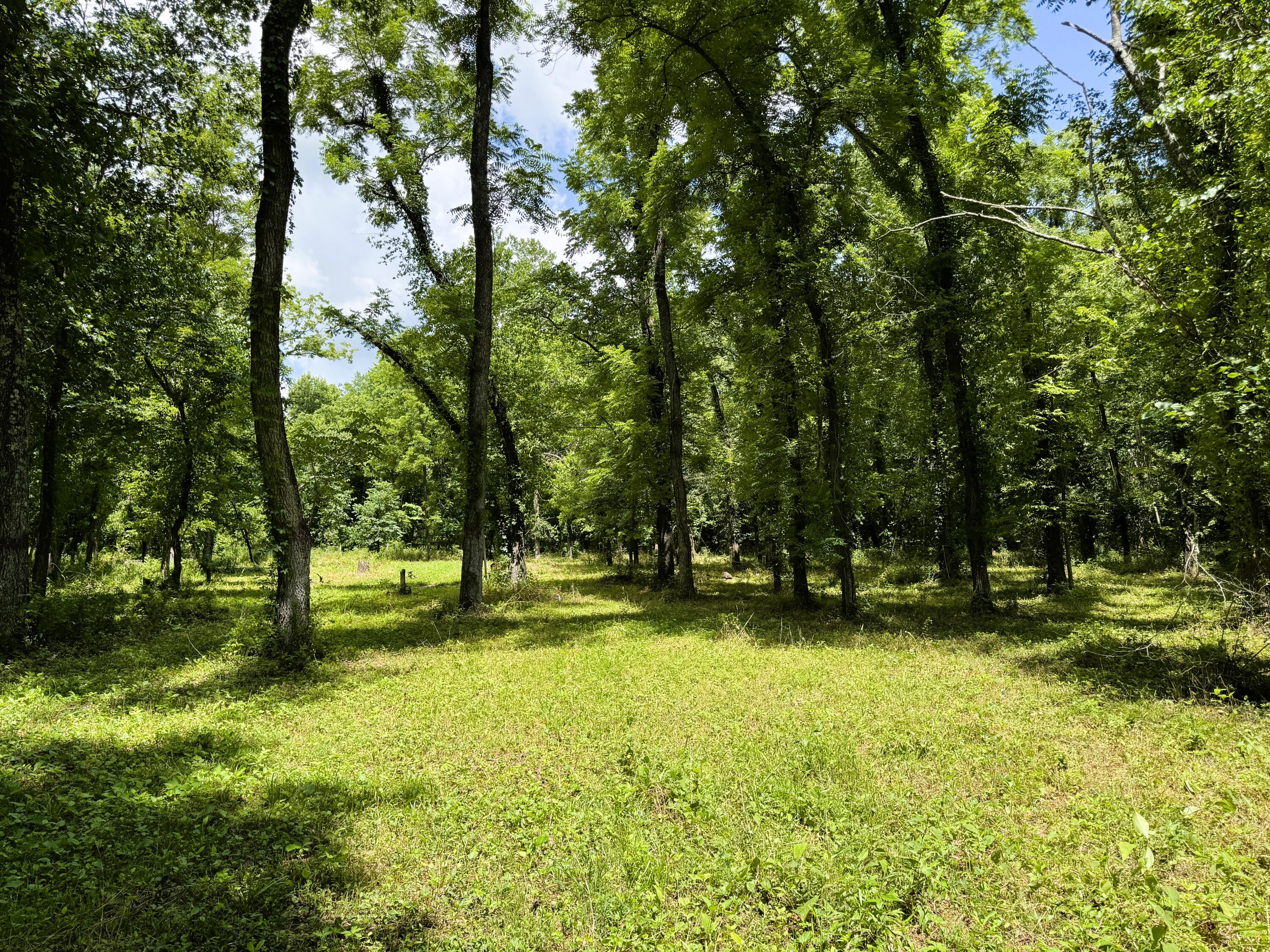 000 Wilderness Way Property Photo 5