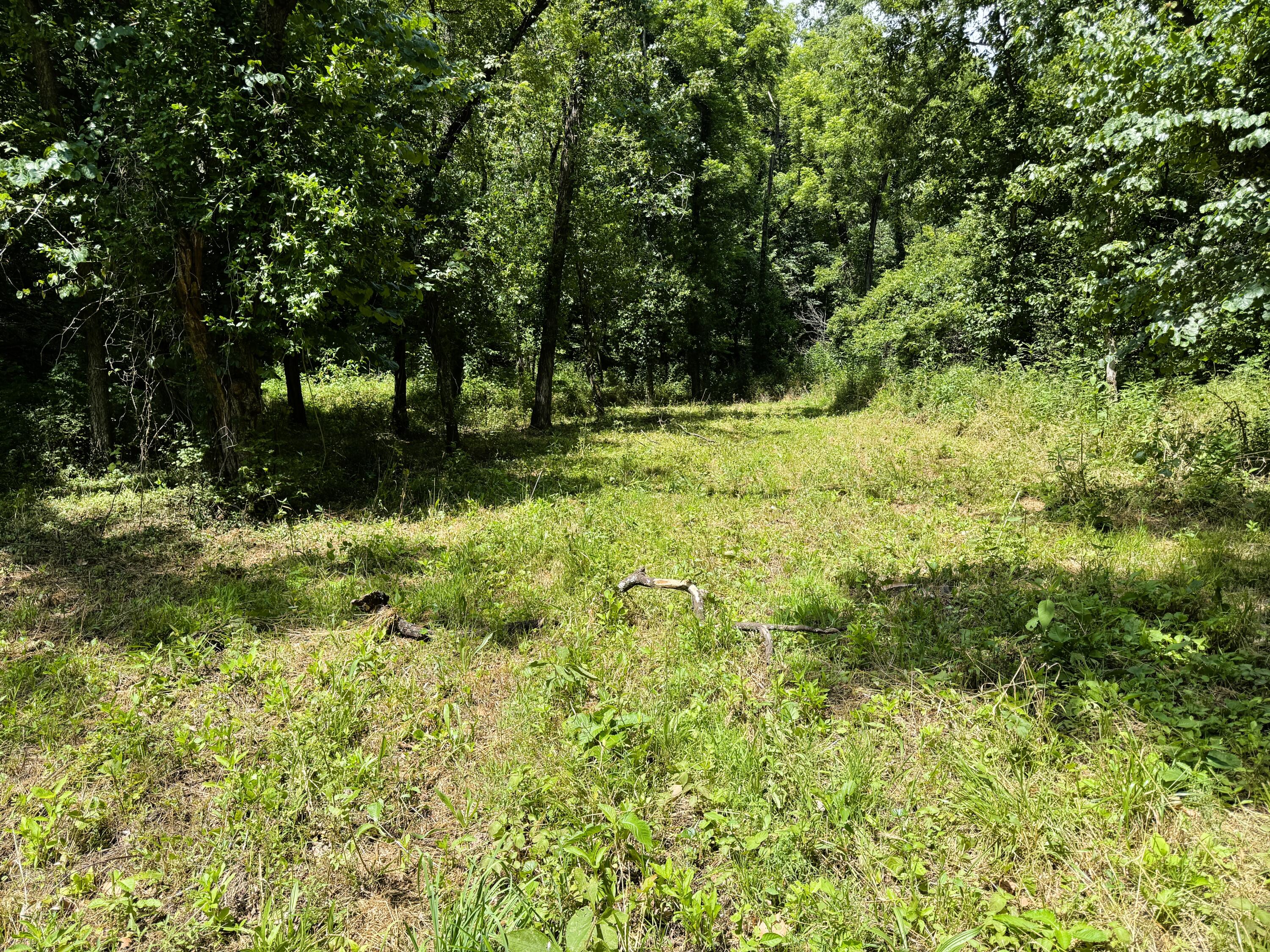000 Wilderness Way Property Photo 7