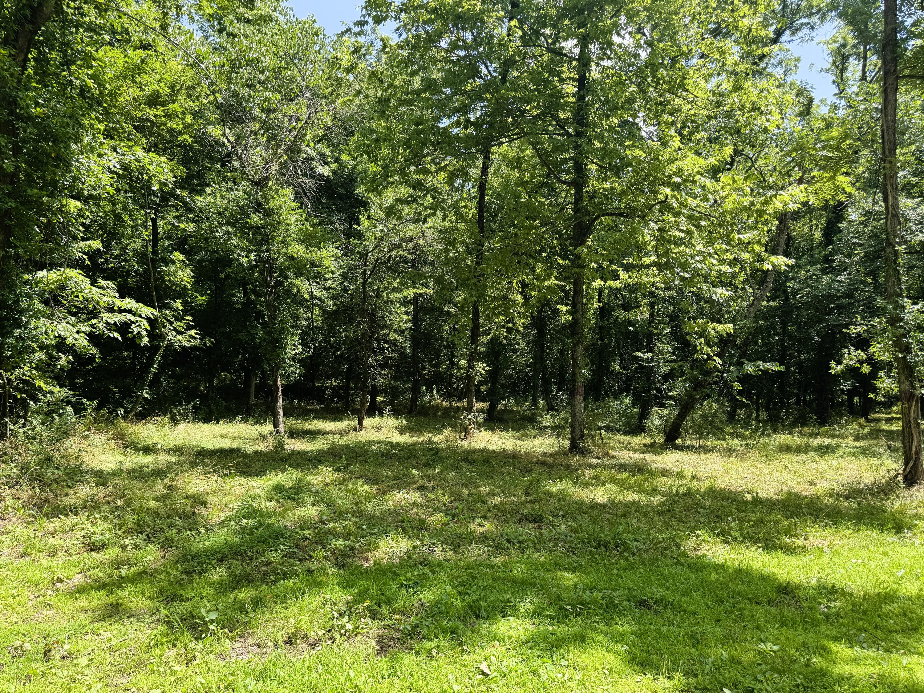 000 Wilderness Way Property Photo 8