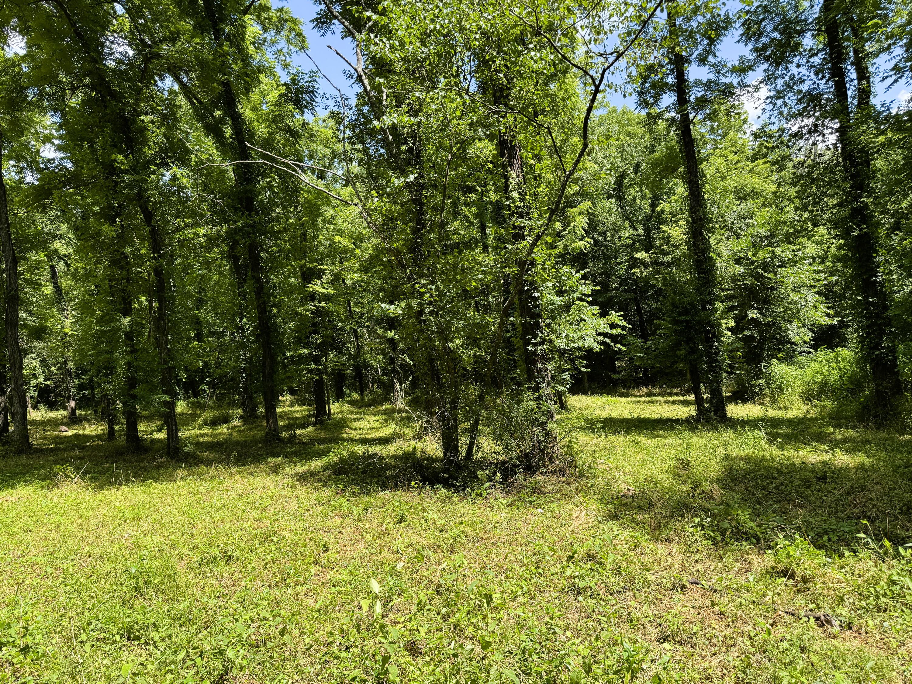 000 Wilderness Way Property Photo 9