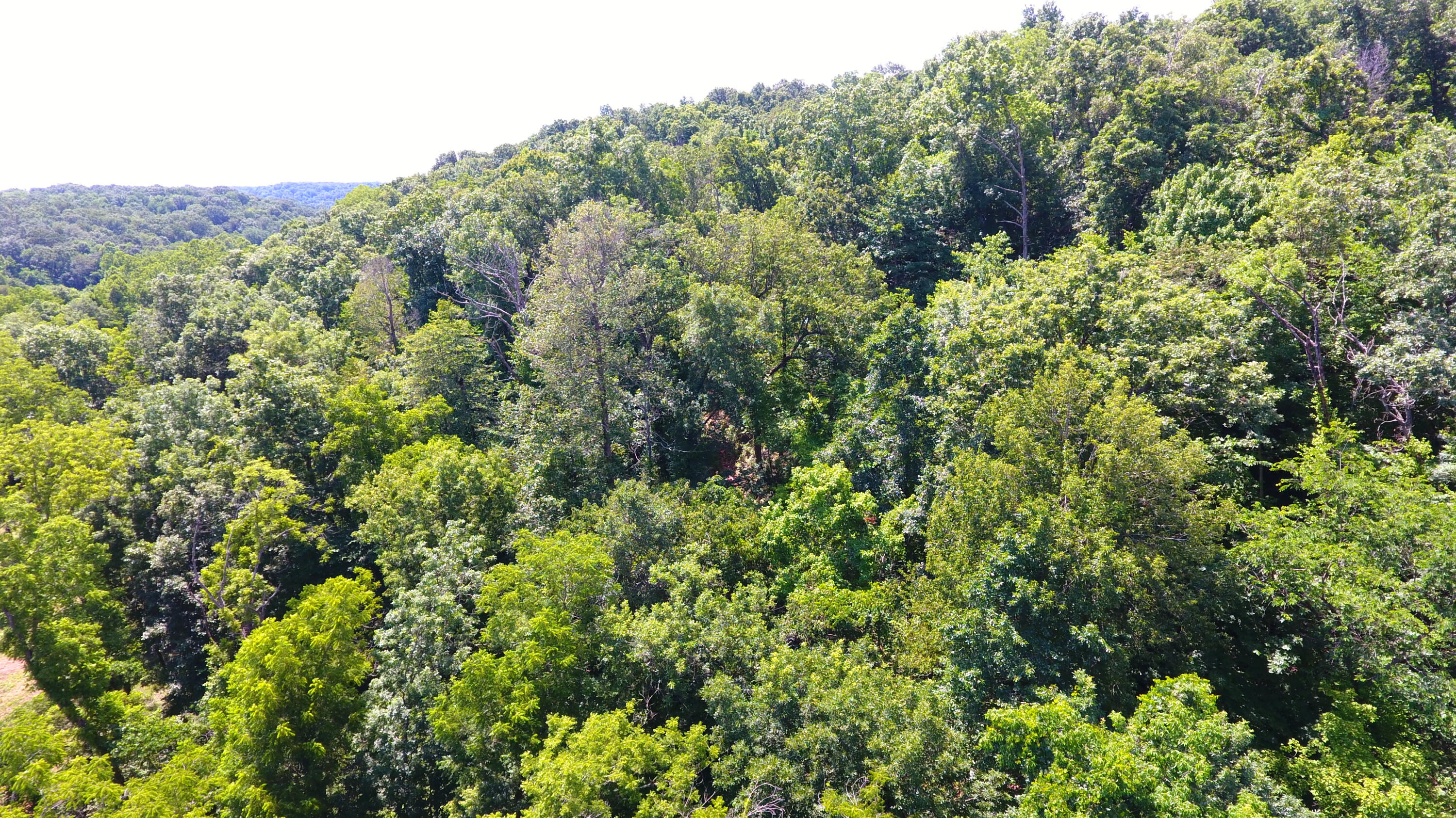 000 Wilderness Way Property Photo 10
