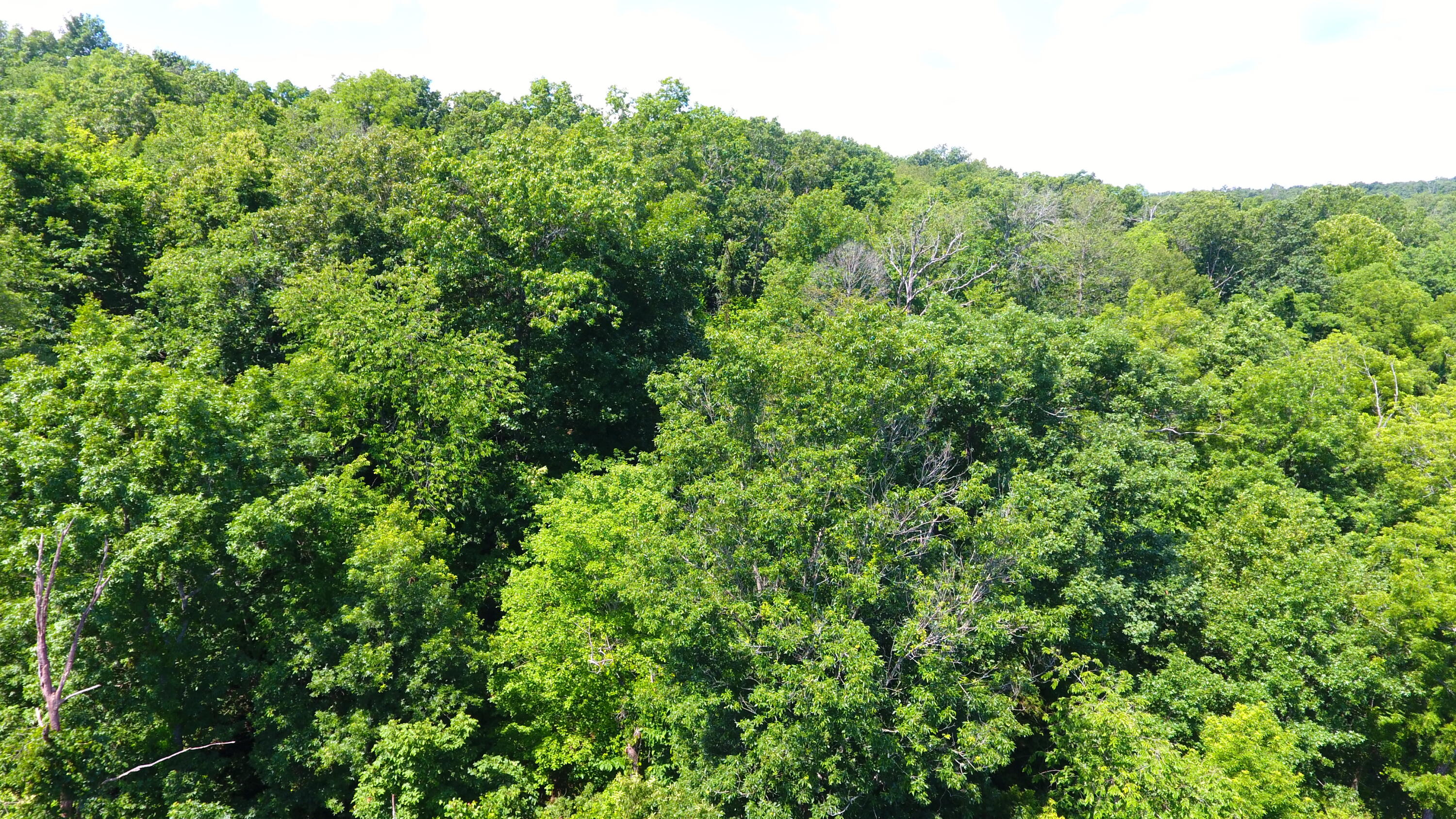 000 Wilderness Way Property Photo 11