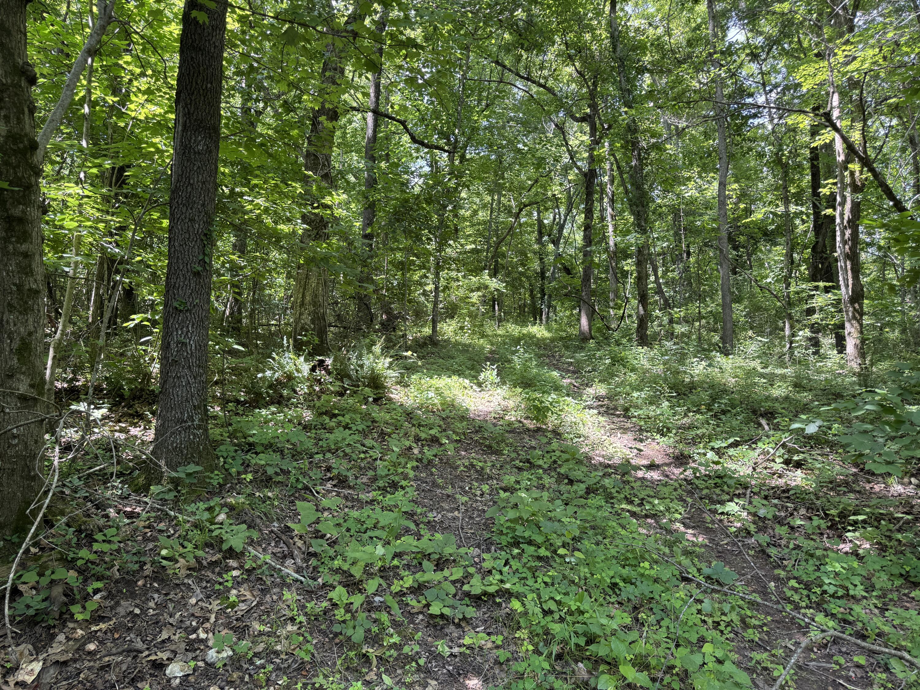 000 Wilderness Way Property Photo 12