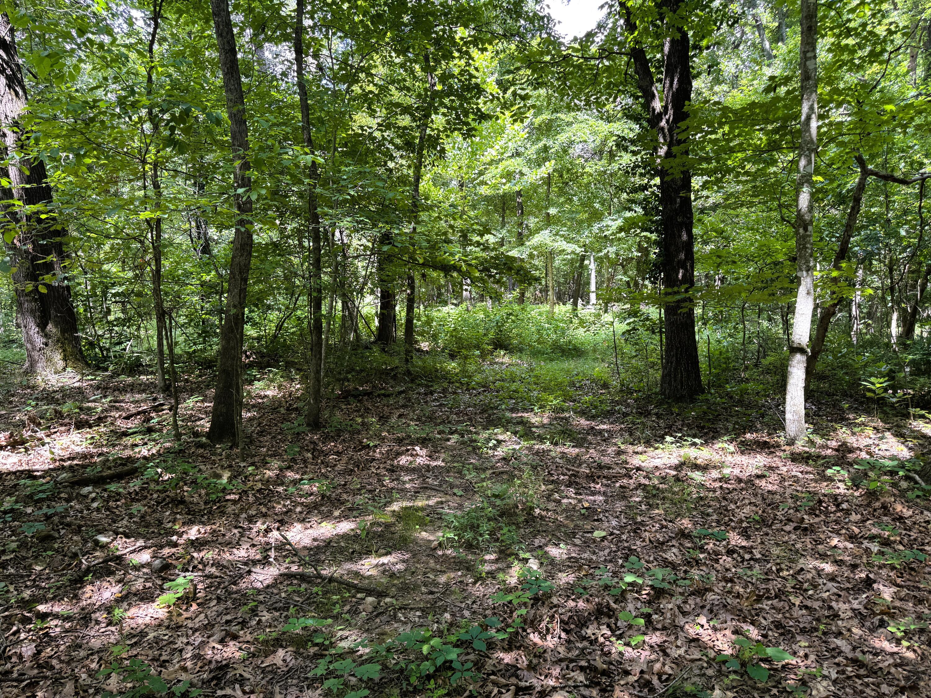 000 Wilderness Way Property Photo 13