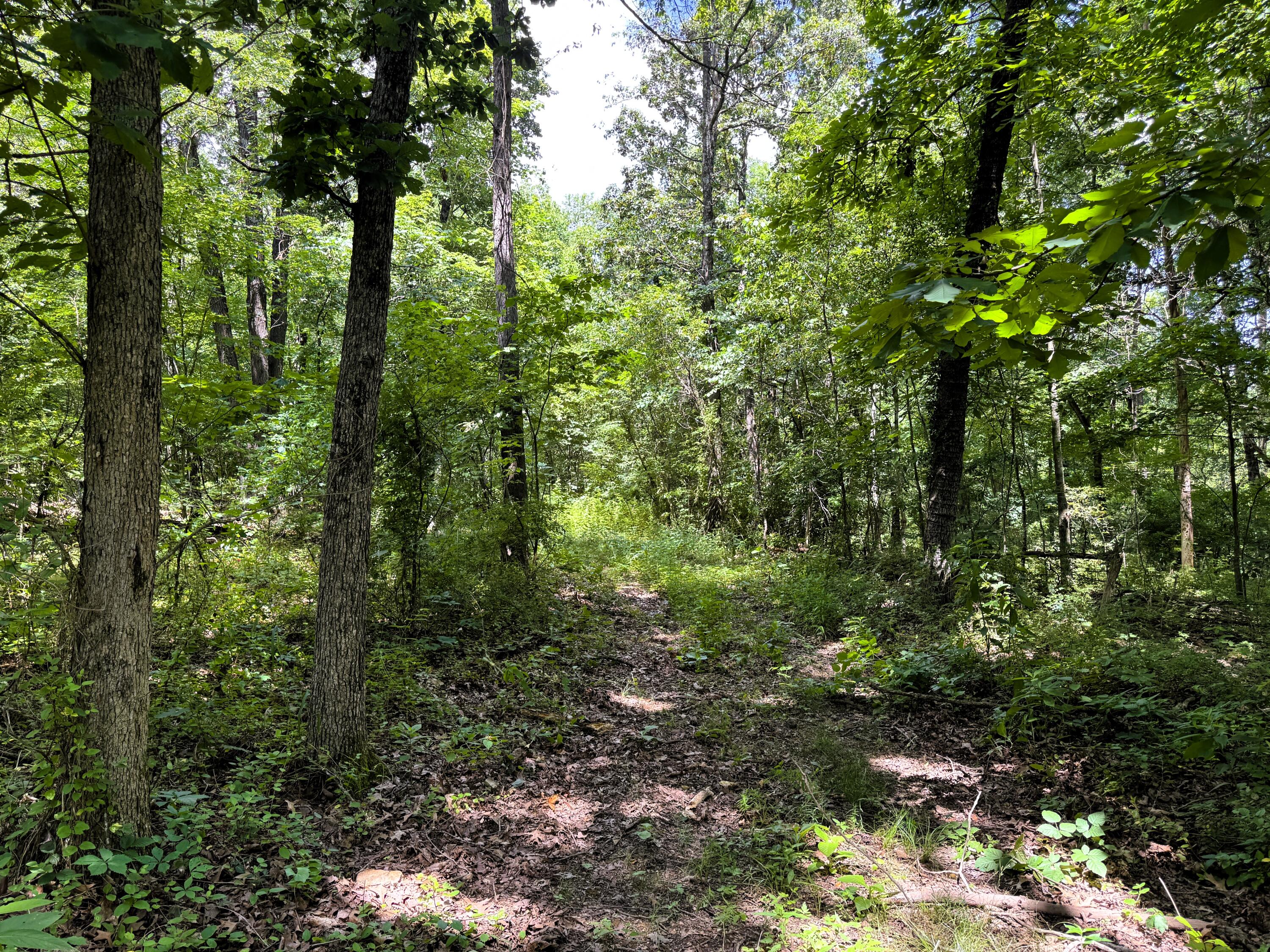 000 Wilderness Way Property Photo 14