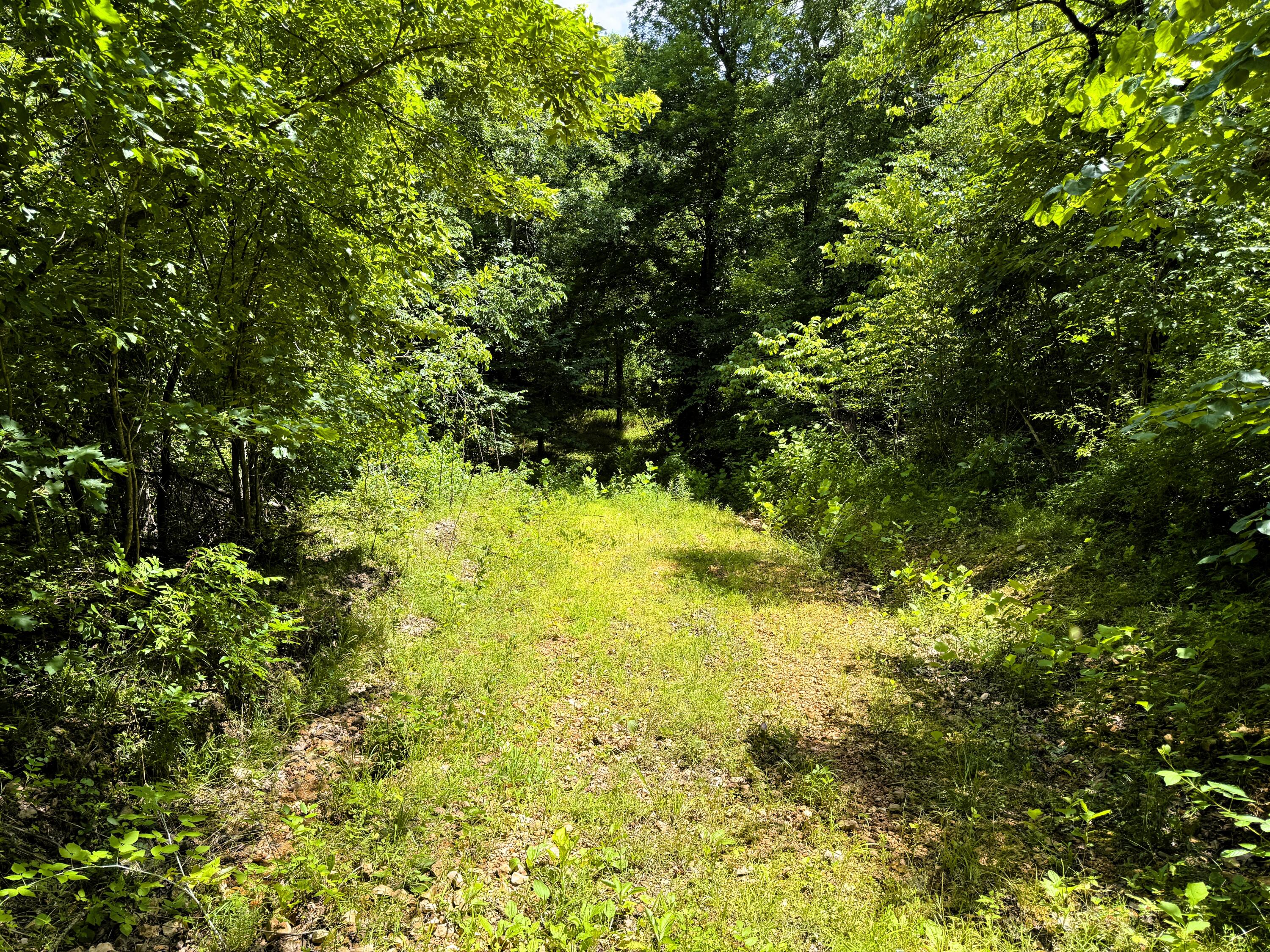 000 Wilderness Way Property Photo 15