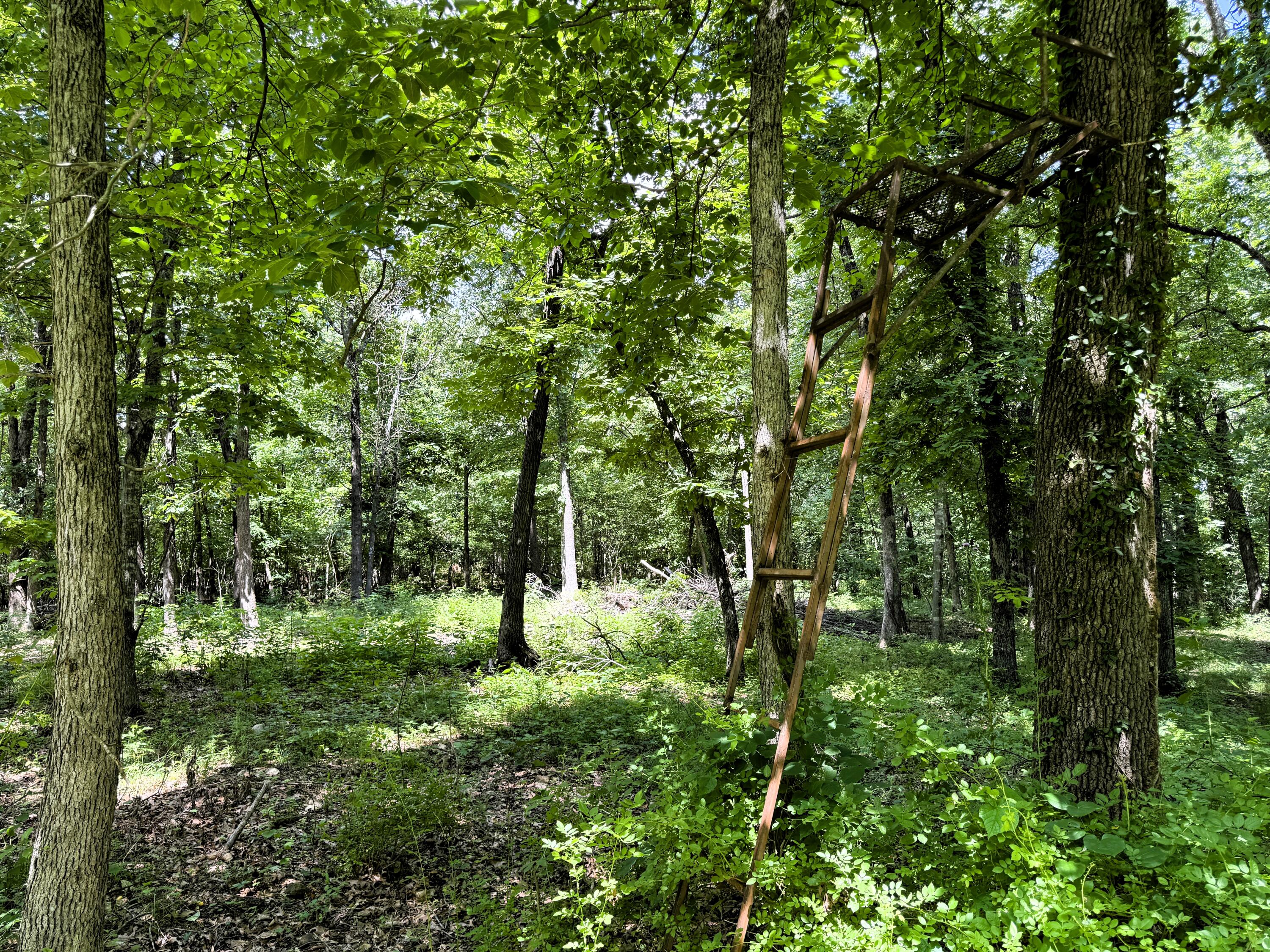 000 Wilderness Way Property Photo 16