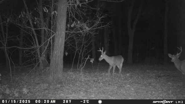 000 Wilderness Way Property Photo 17
