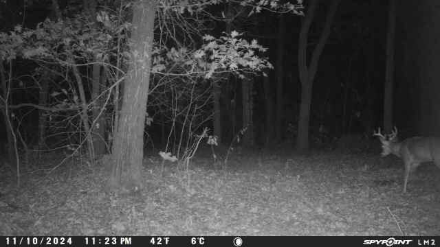 000 Wilderness Way Property Photo 18