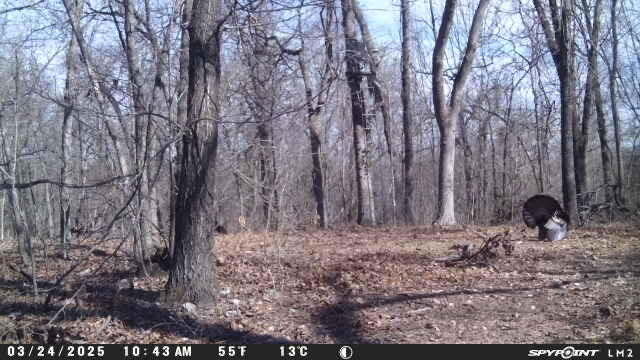 000 Wilderness Way Property Photo 19