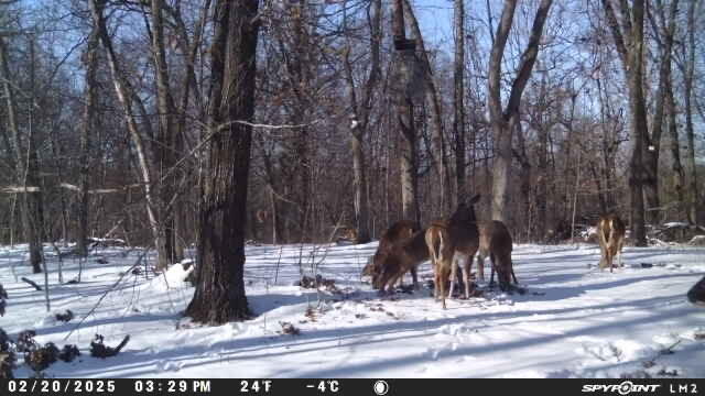 000 Wilderness Way Property Photo 20