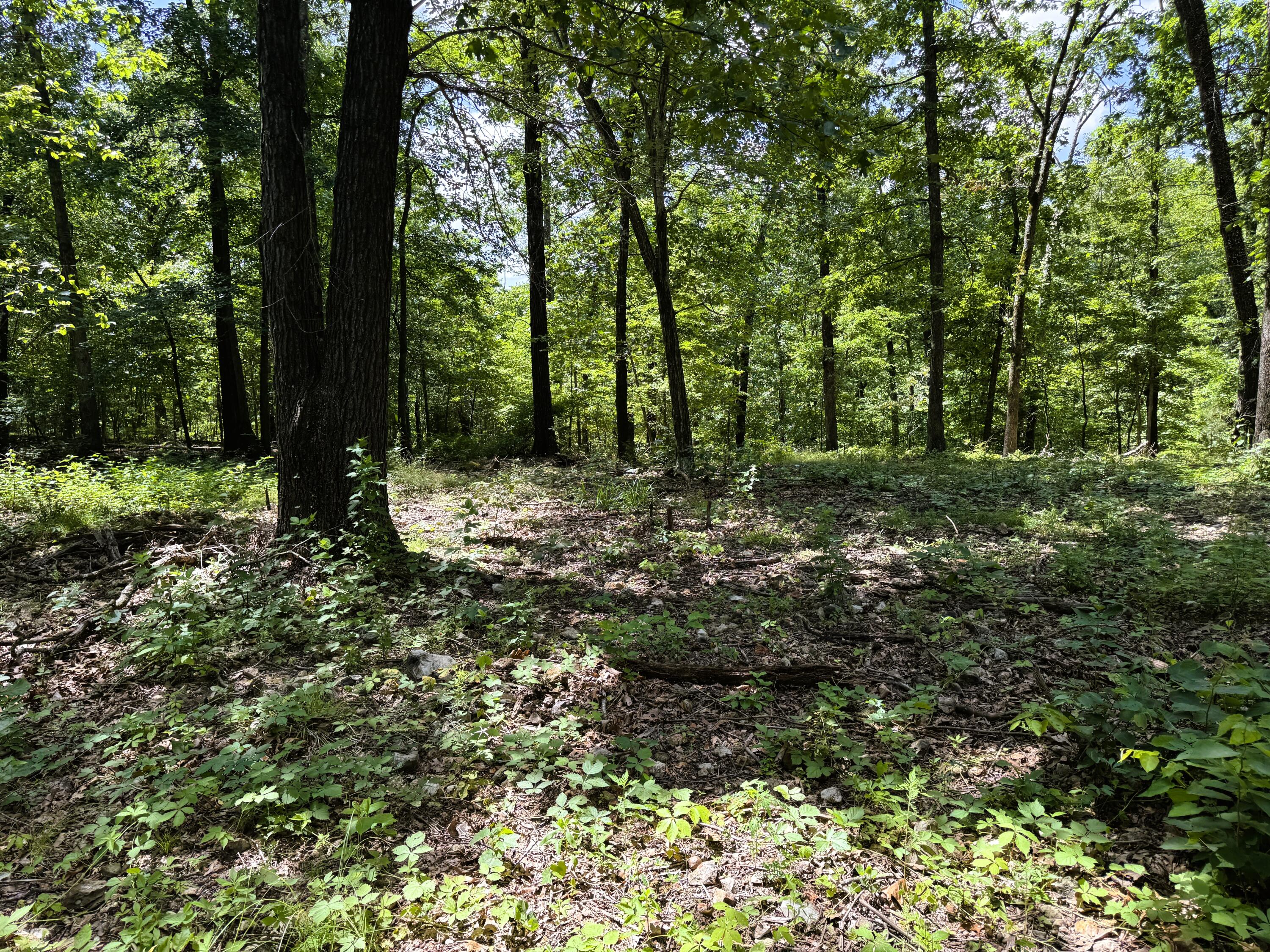 000 Wilderness Way Property Photo 23
