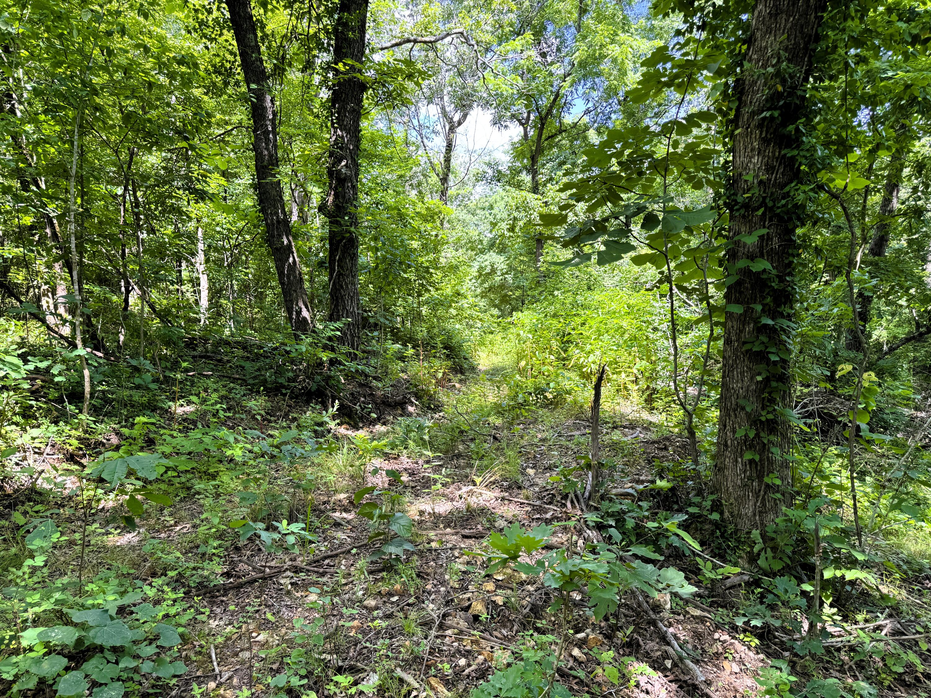 000 Wilderness Way Property Photo 24